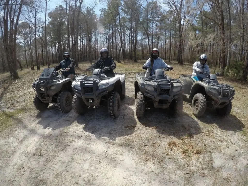 Carolina Backwoods