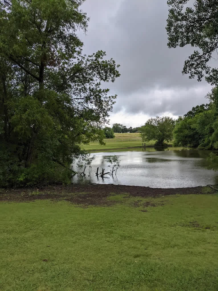 Erwin Park