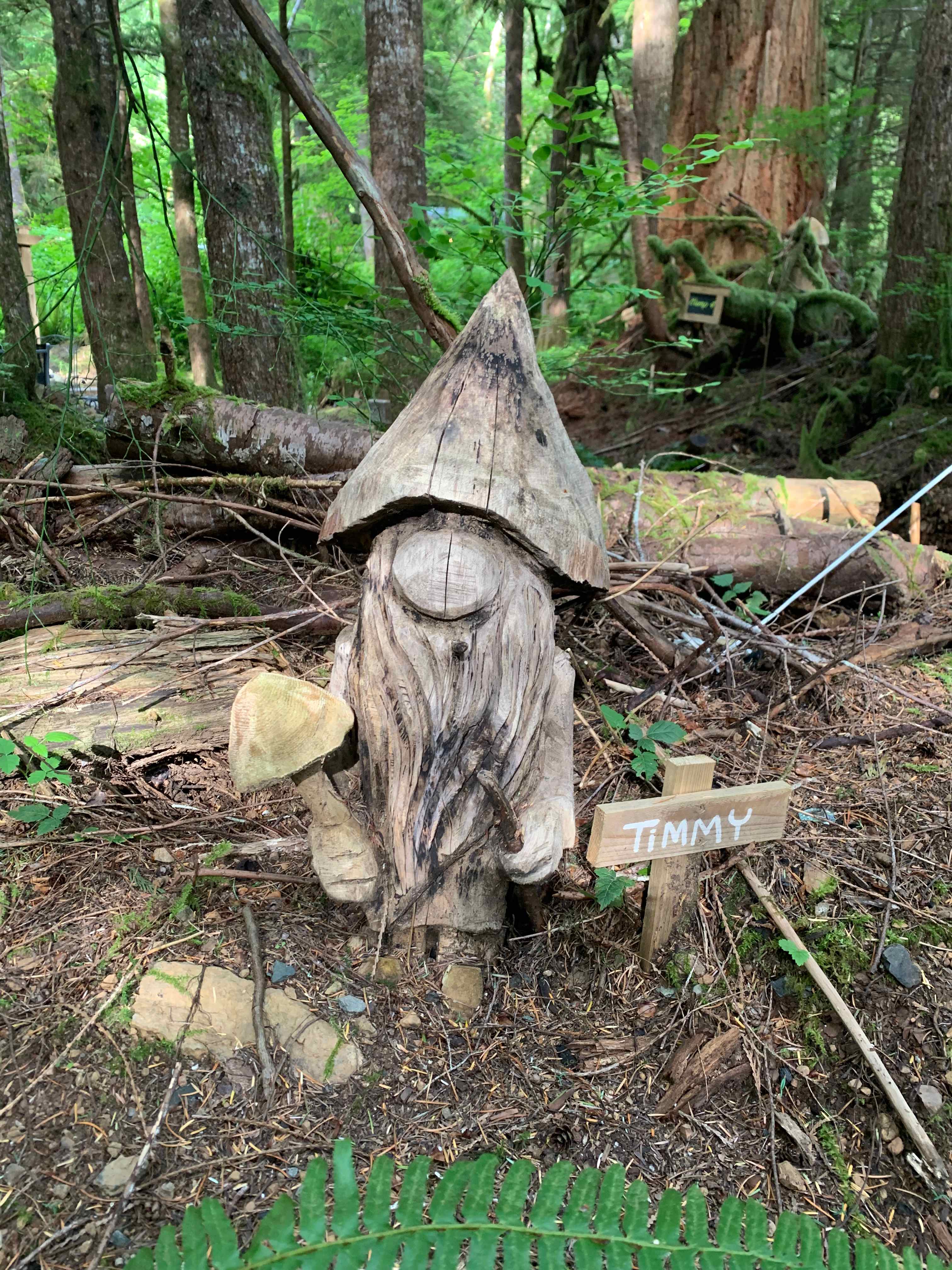 sol duc rainforest retreat