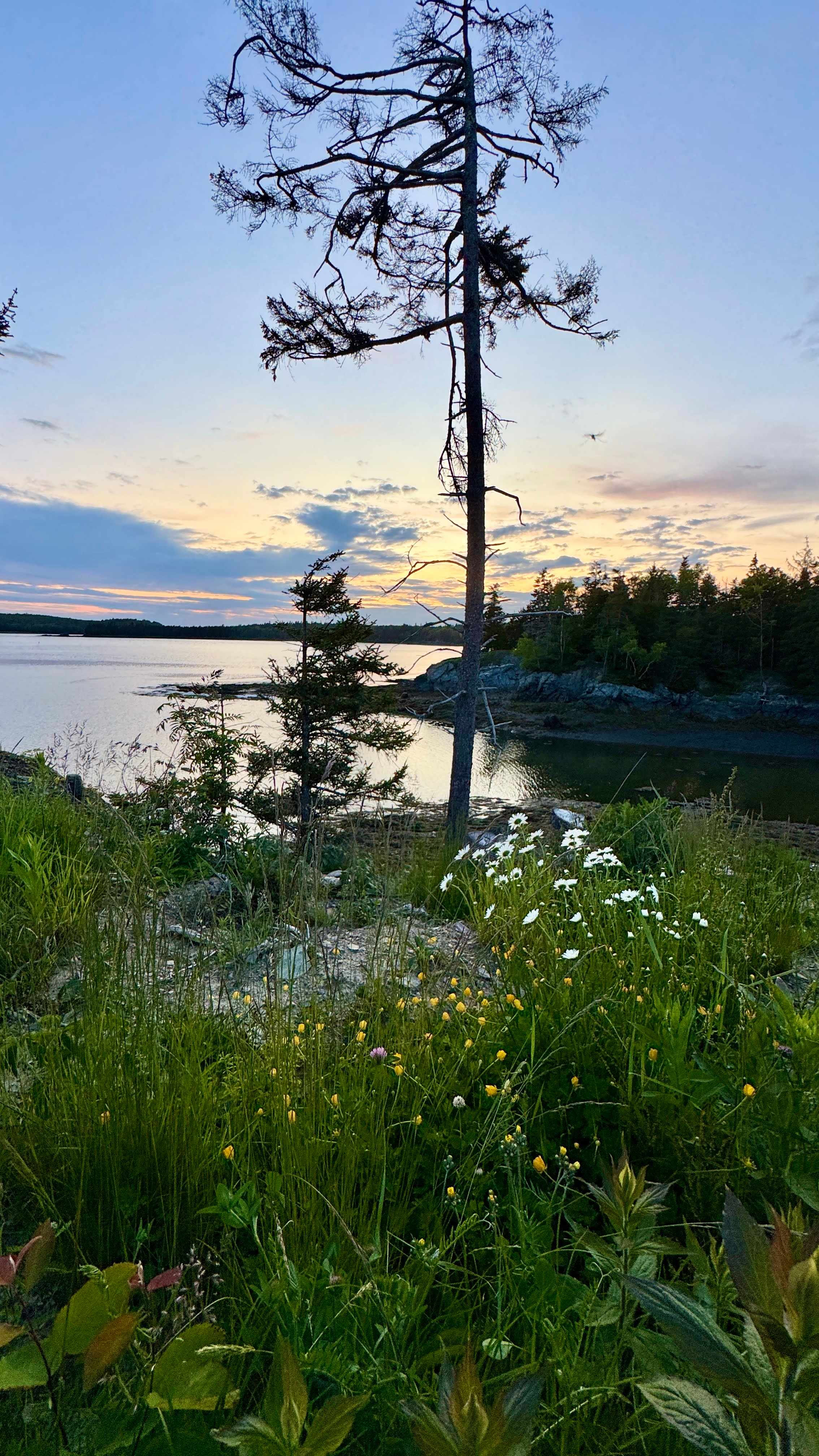 Mouth of the Magaguadavic Camping