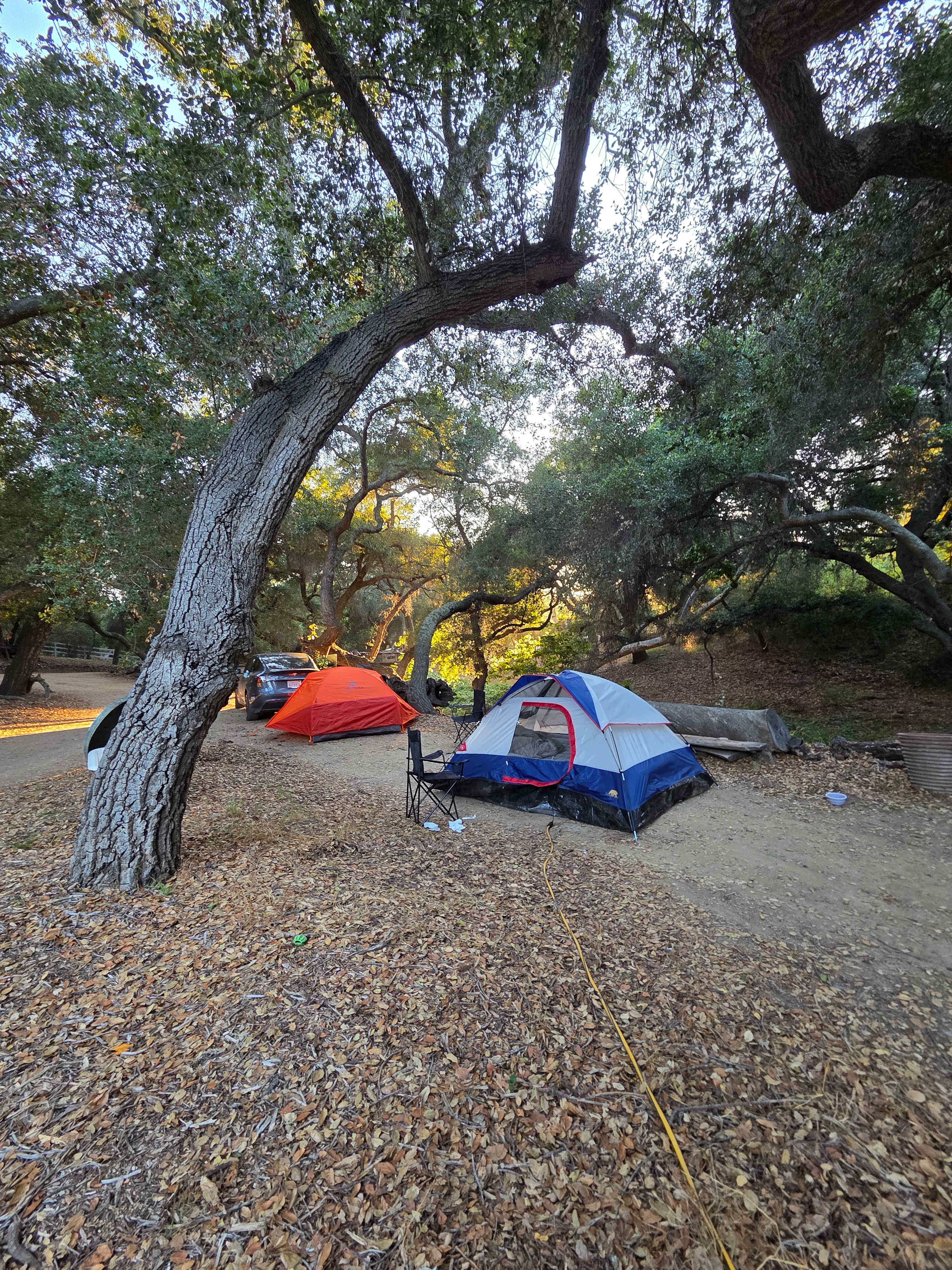 Rustic Wooded Ranch -Creekside Stay