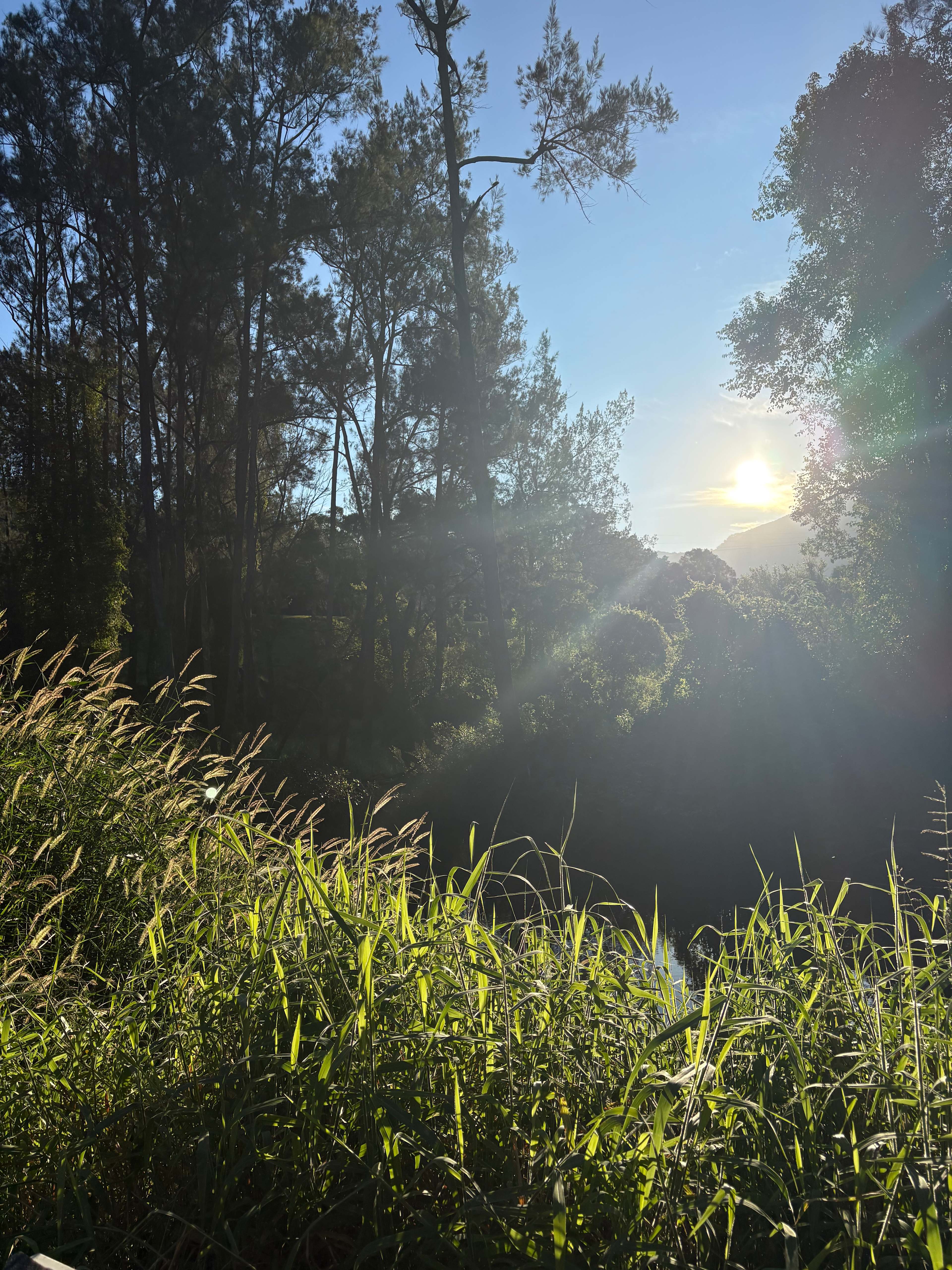 Windmill Creek Camp