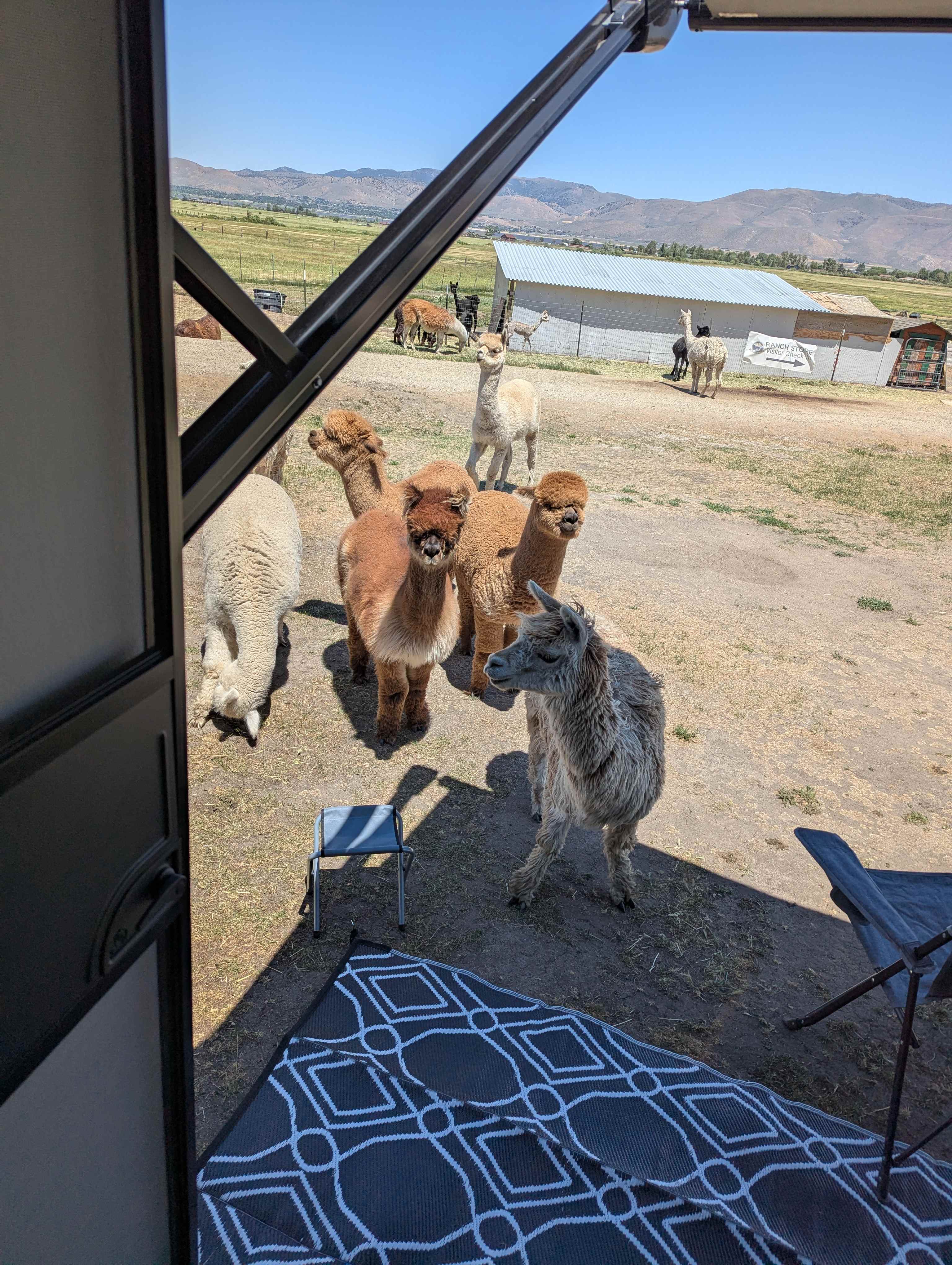 Welcoming committee 
