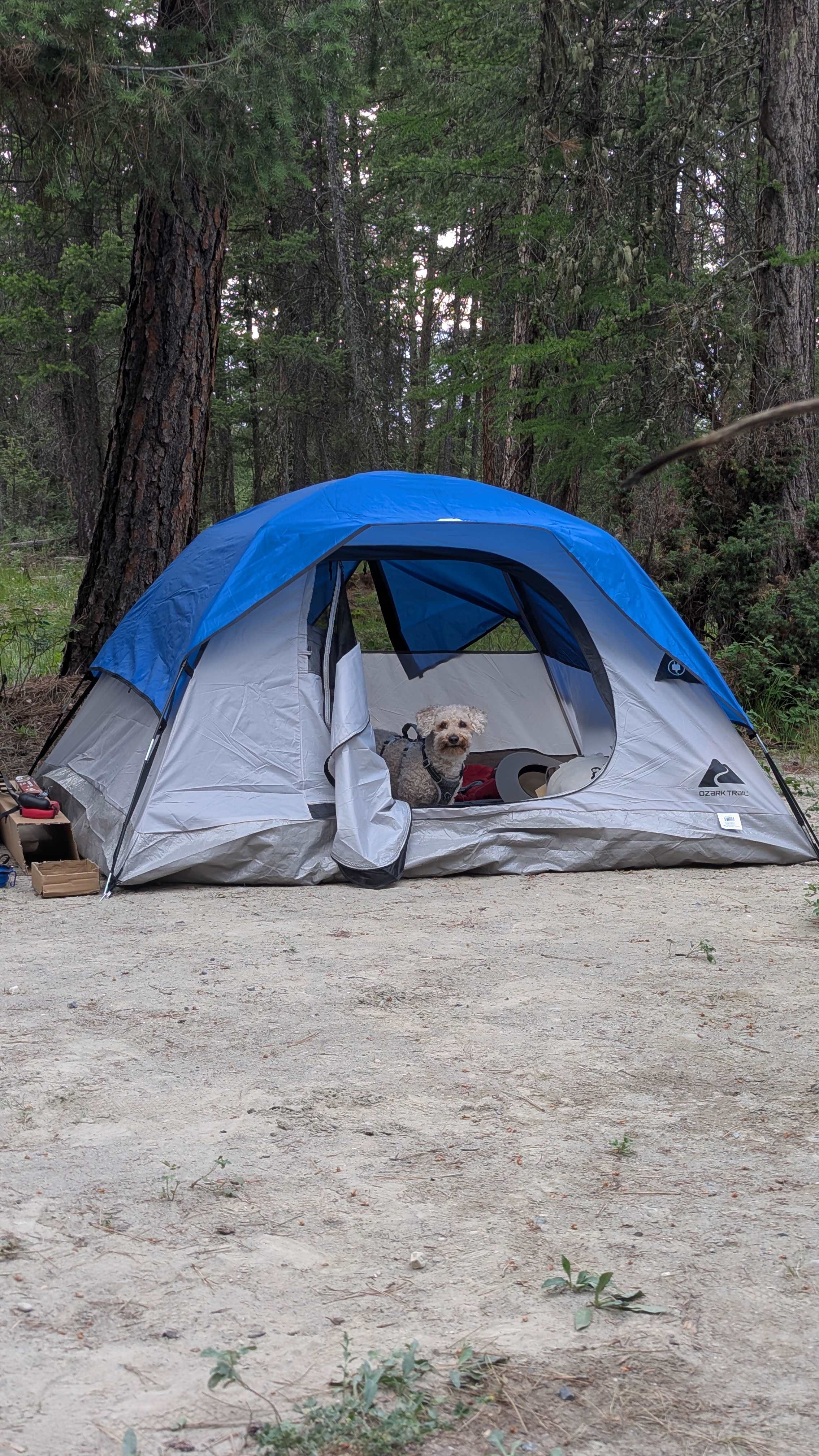 Blacksmith Landing Eco Camp
