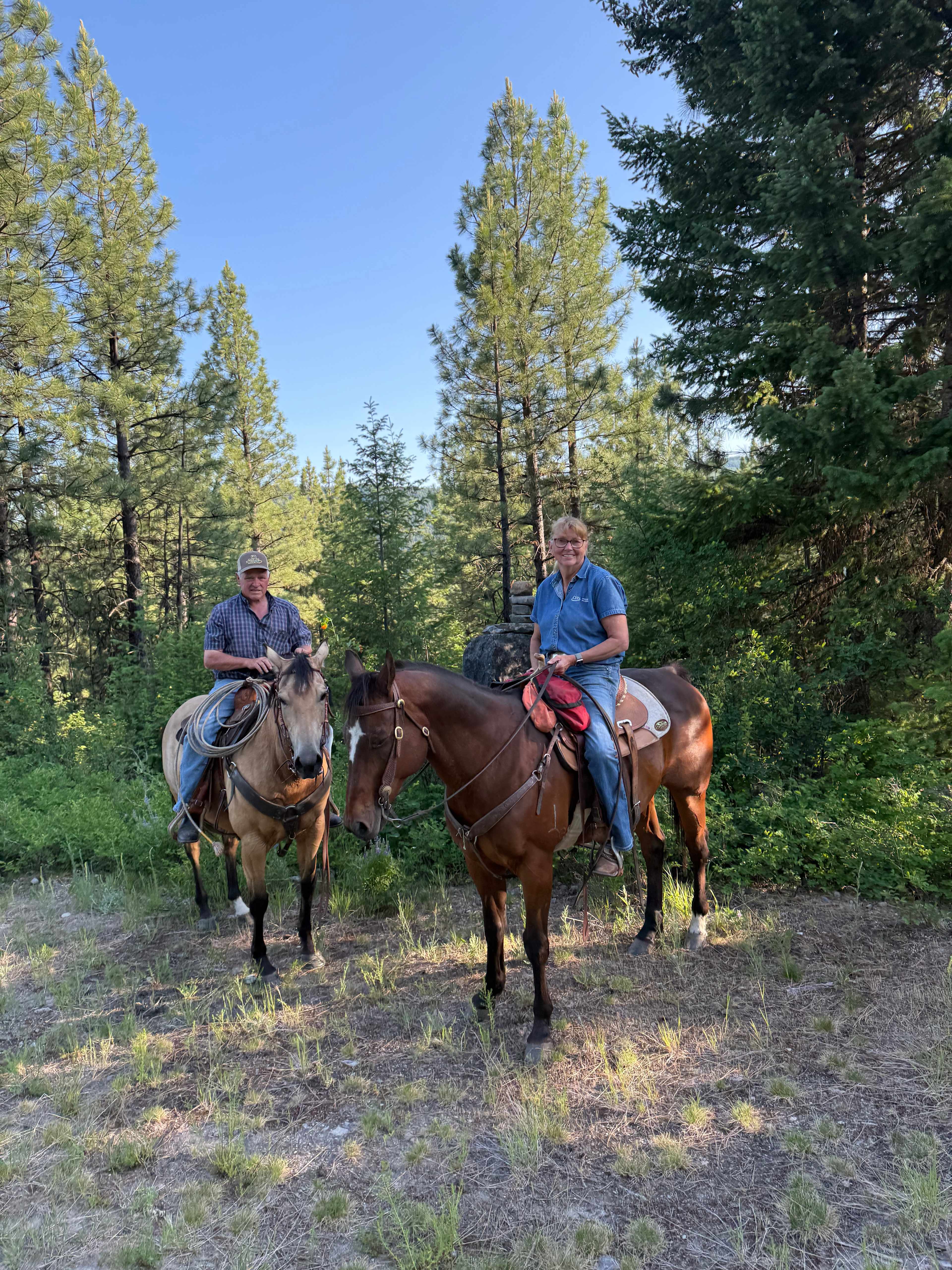 BnR Horse Ranch