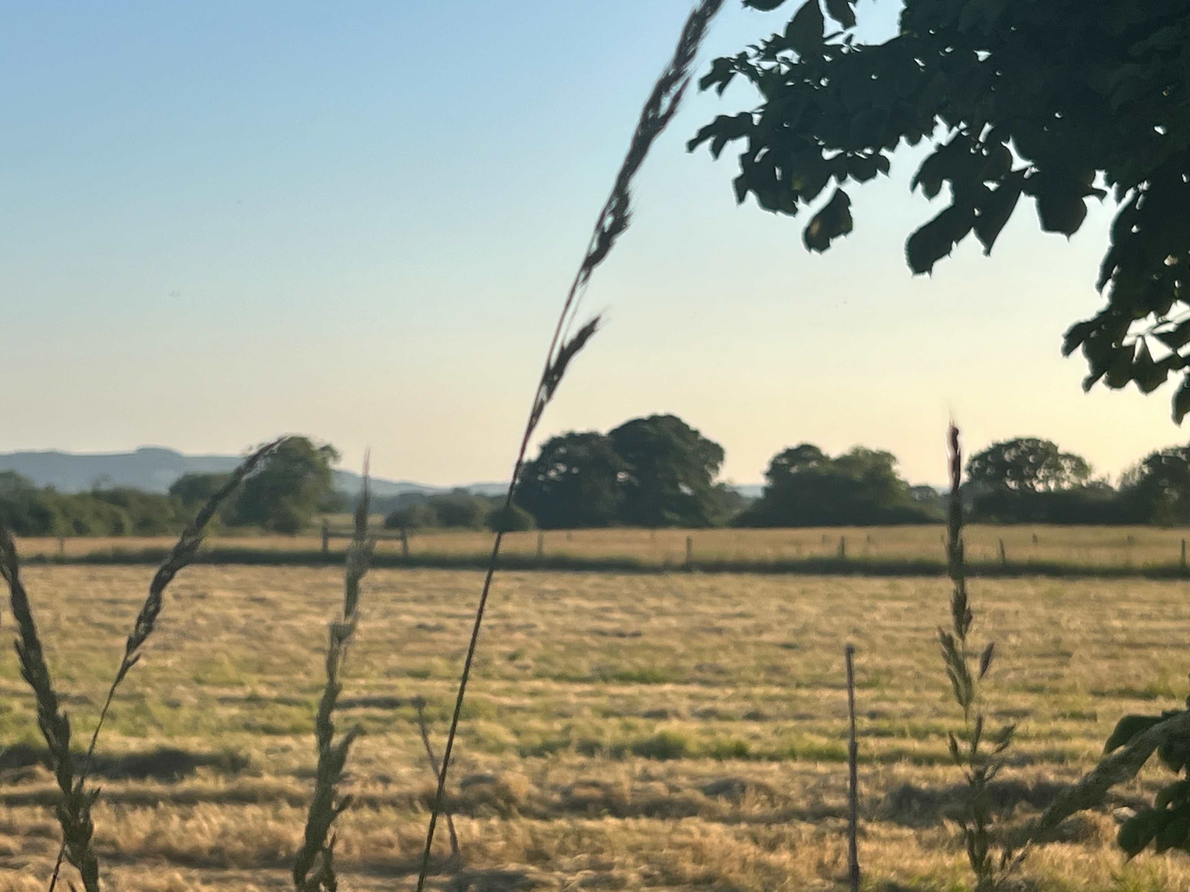 Wychwood Farm