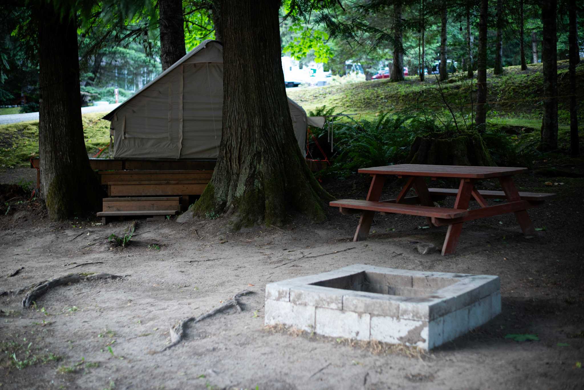 Picture of the site