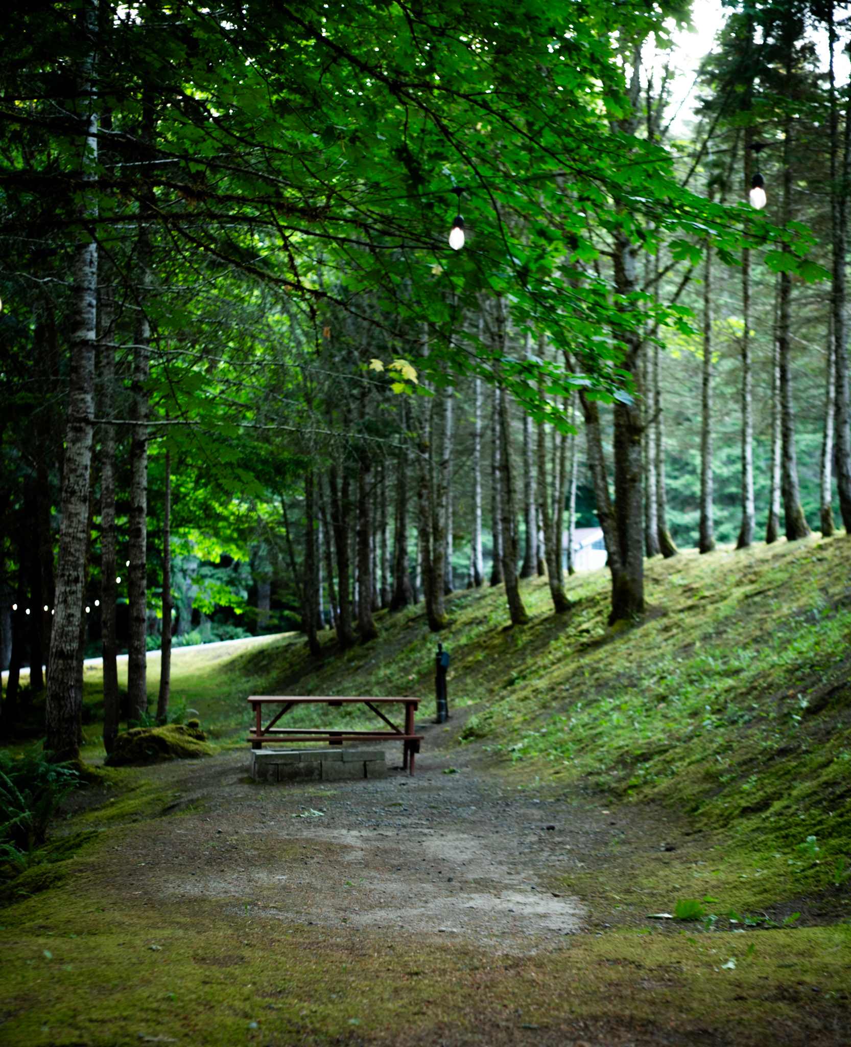 Shadow Mountain RV & Campground
