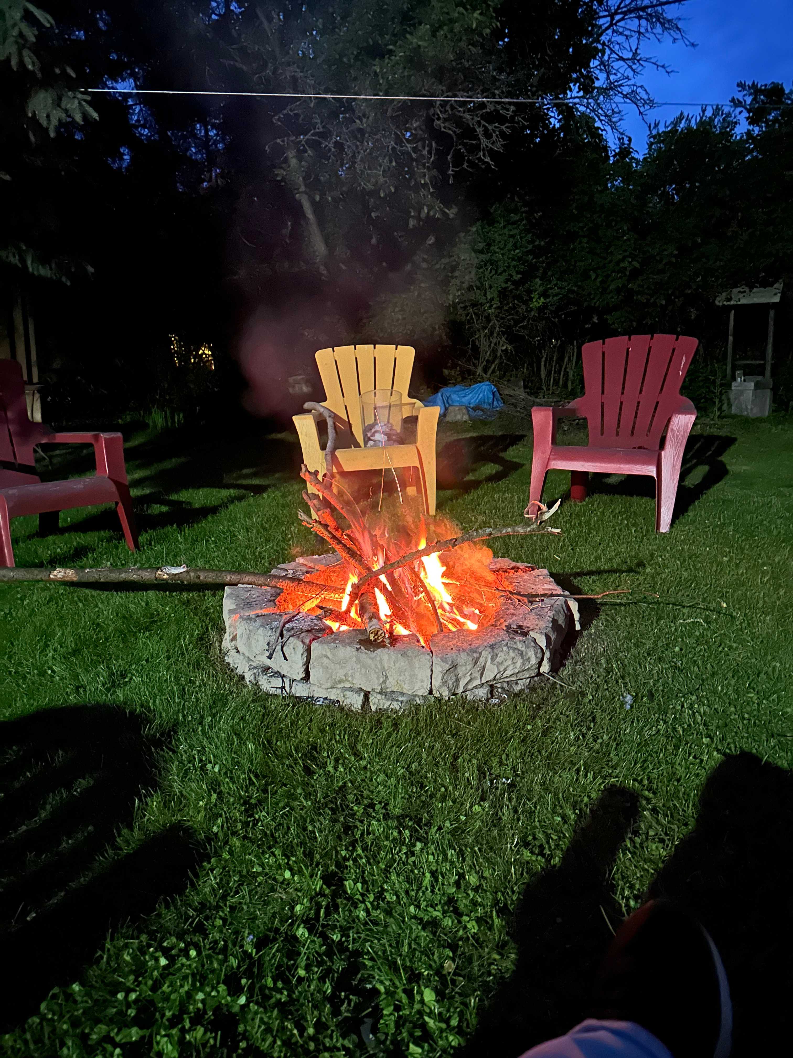 Backyard on Birch