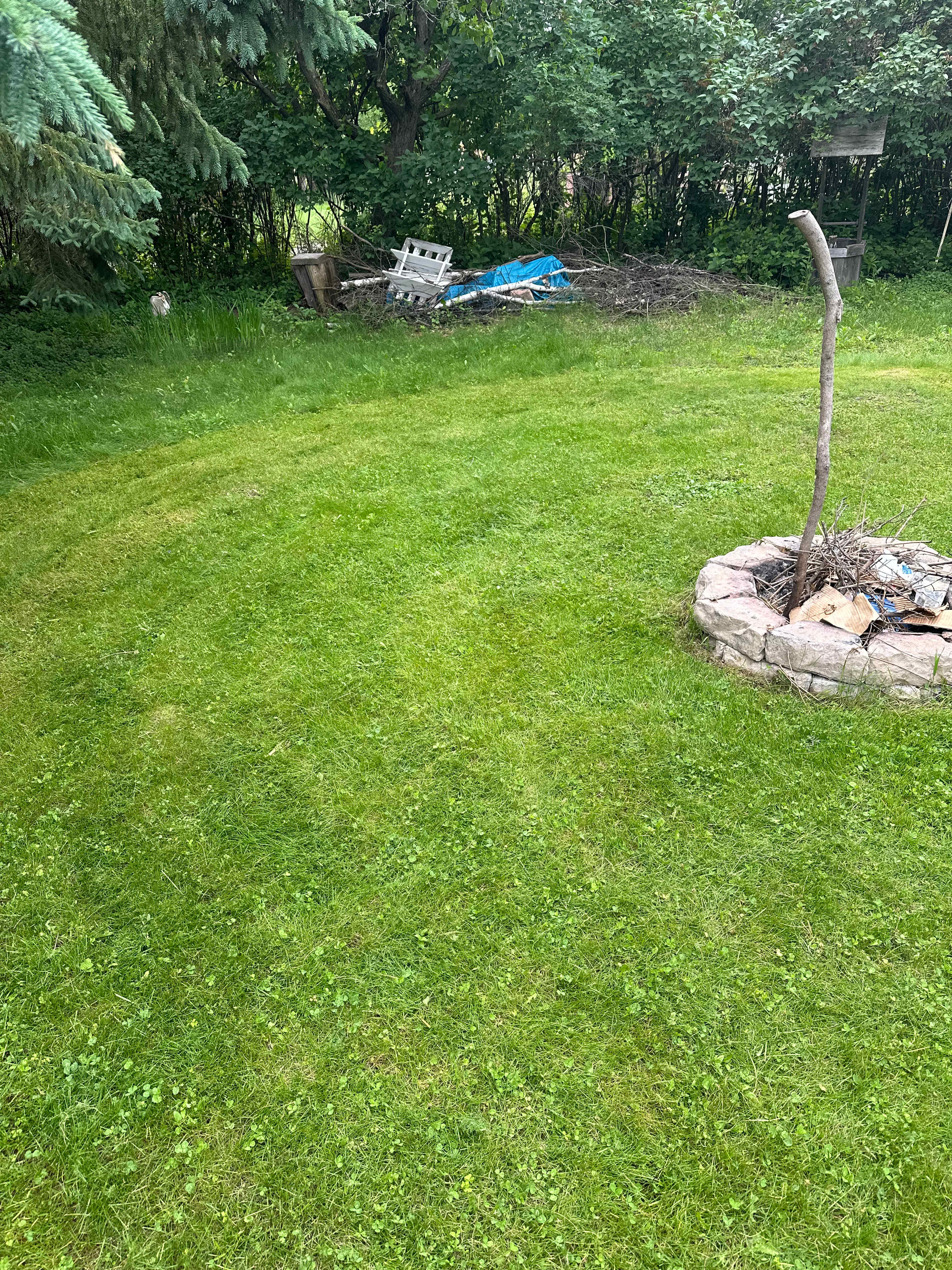 Backyard on Birch