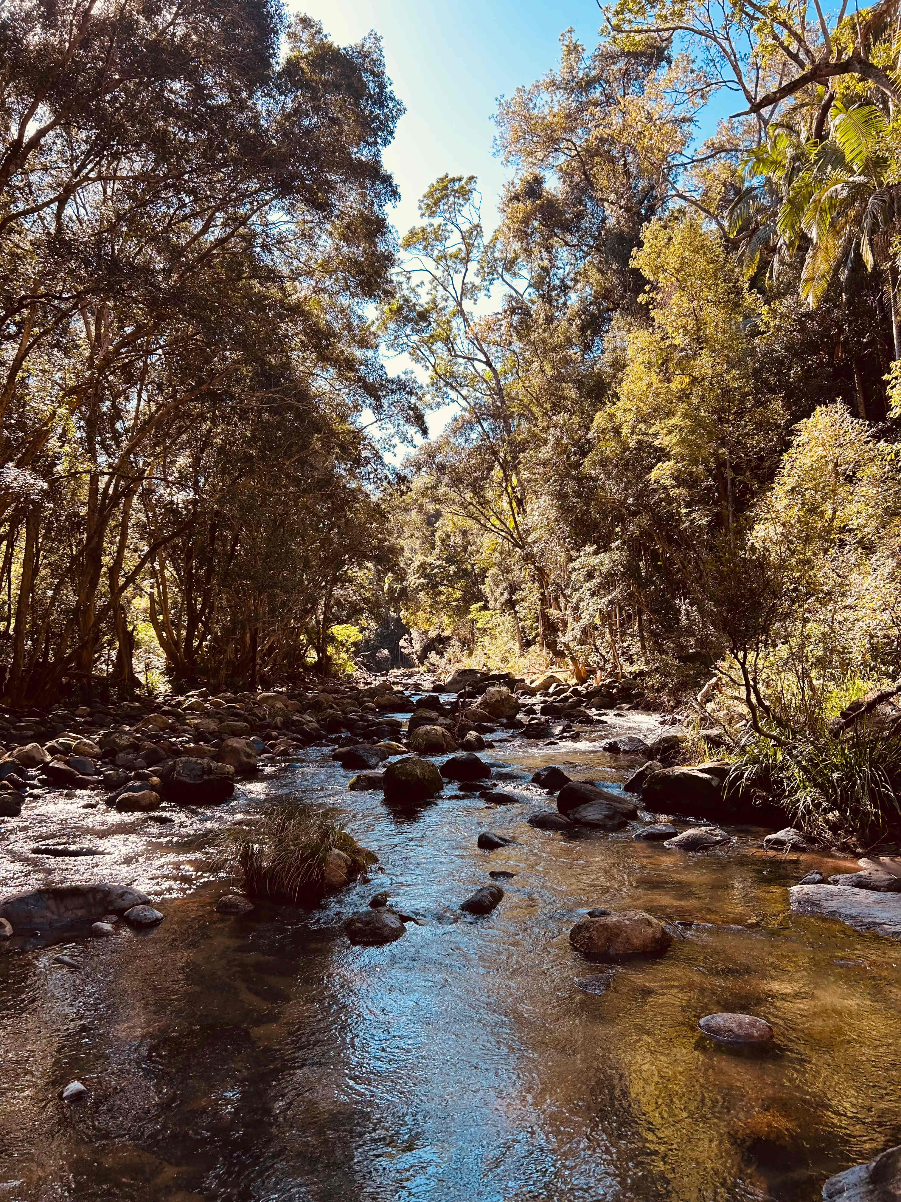 The Hidden Gem