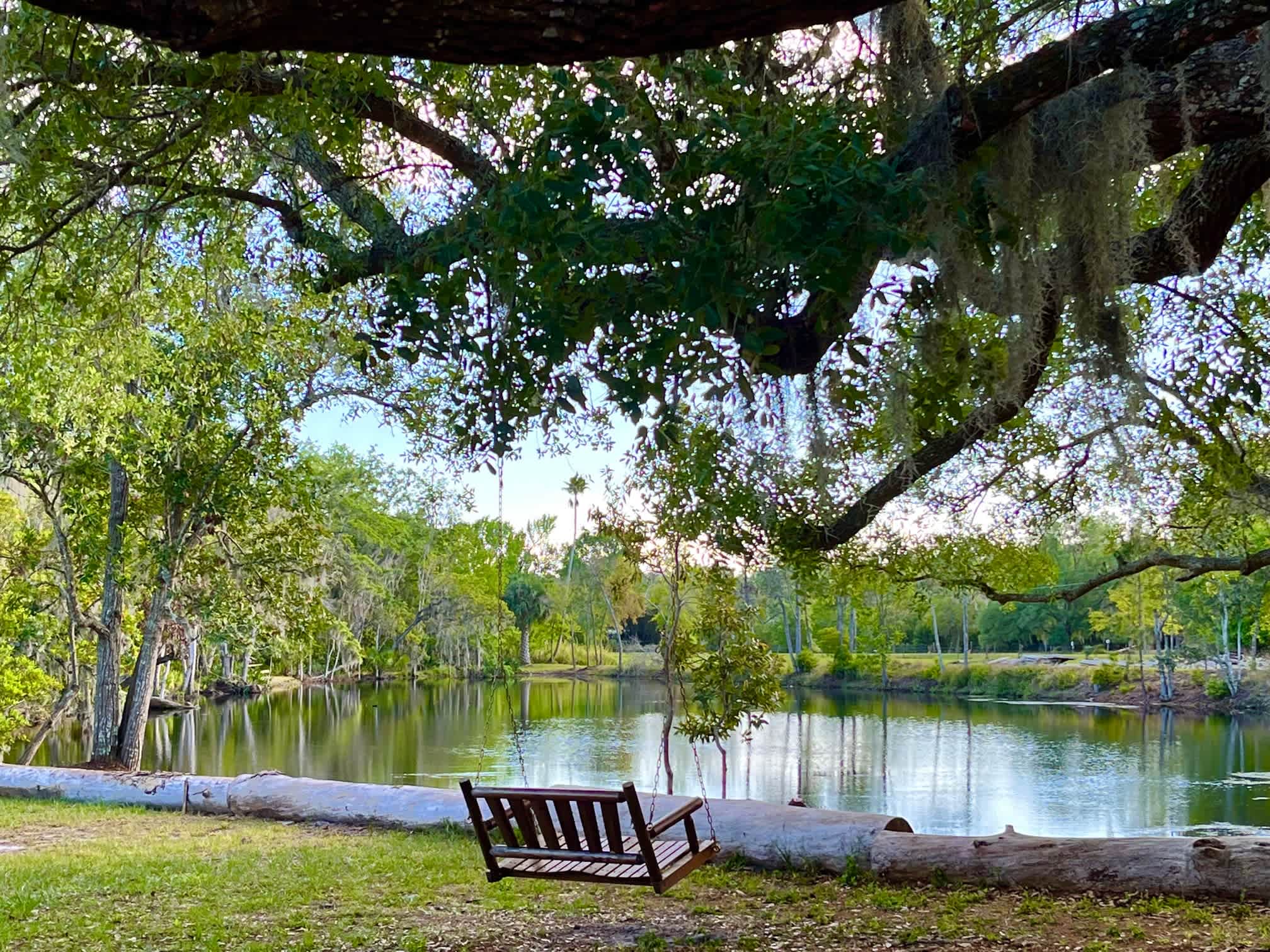 Johnston Springs