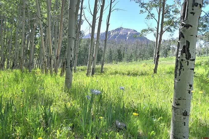Hastings Mesa Nature Camp