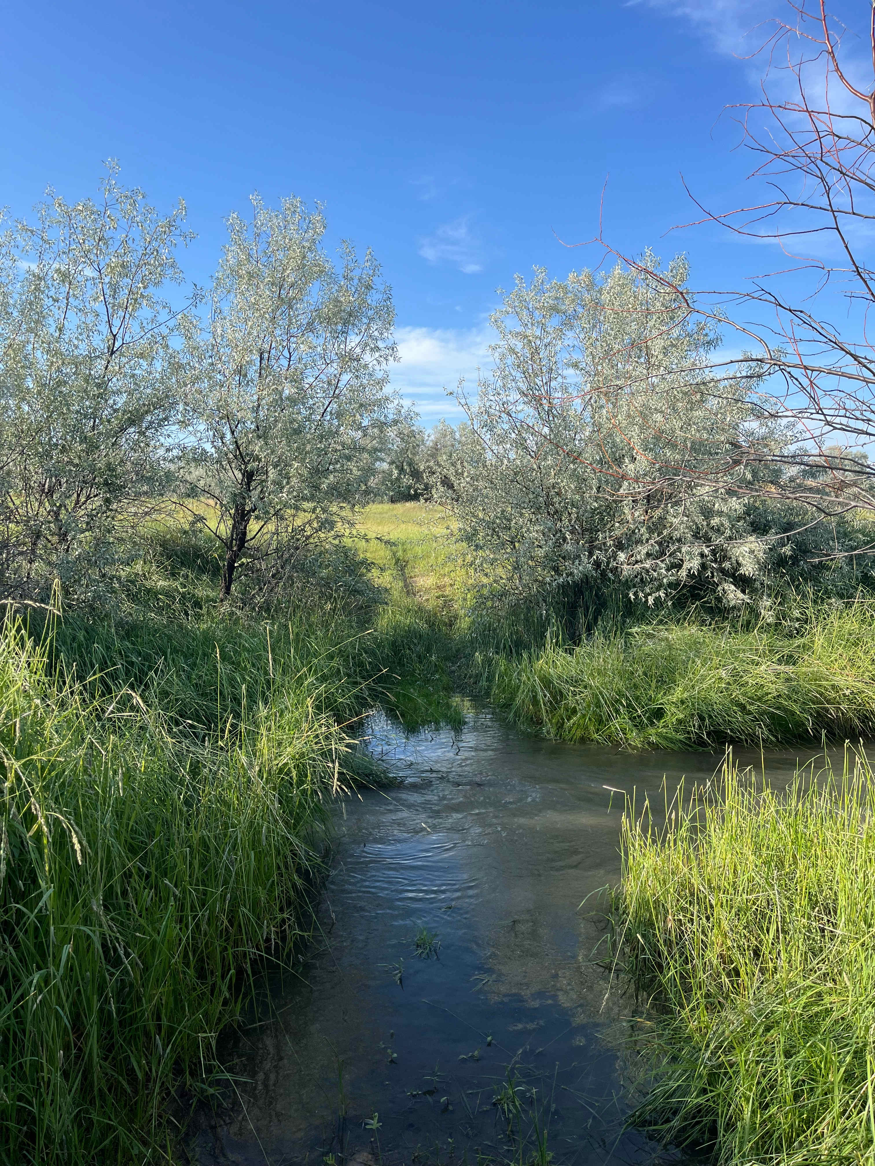 Creekside Camp at Prairie Skies