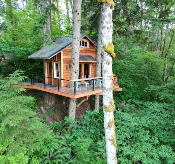 Izer Treehouse