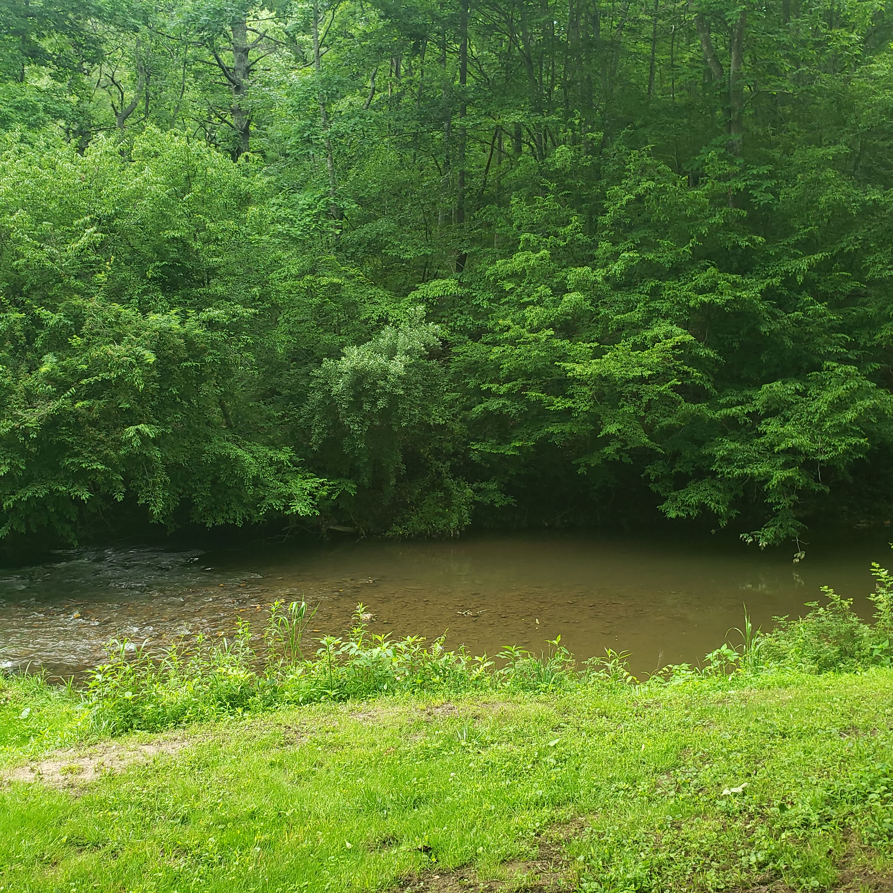 Hippie Hollow
