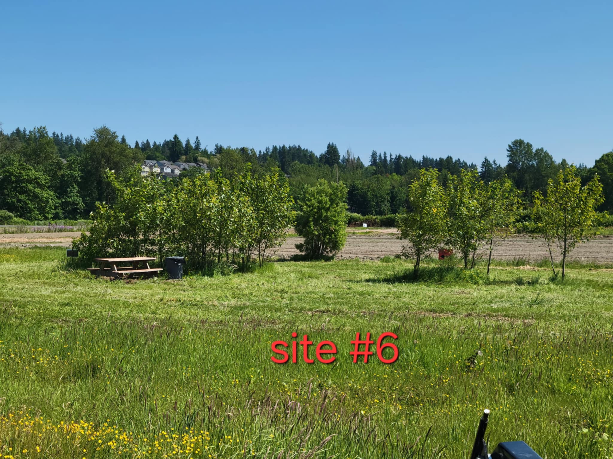 Roney River Ranch (R3)