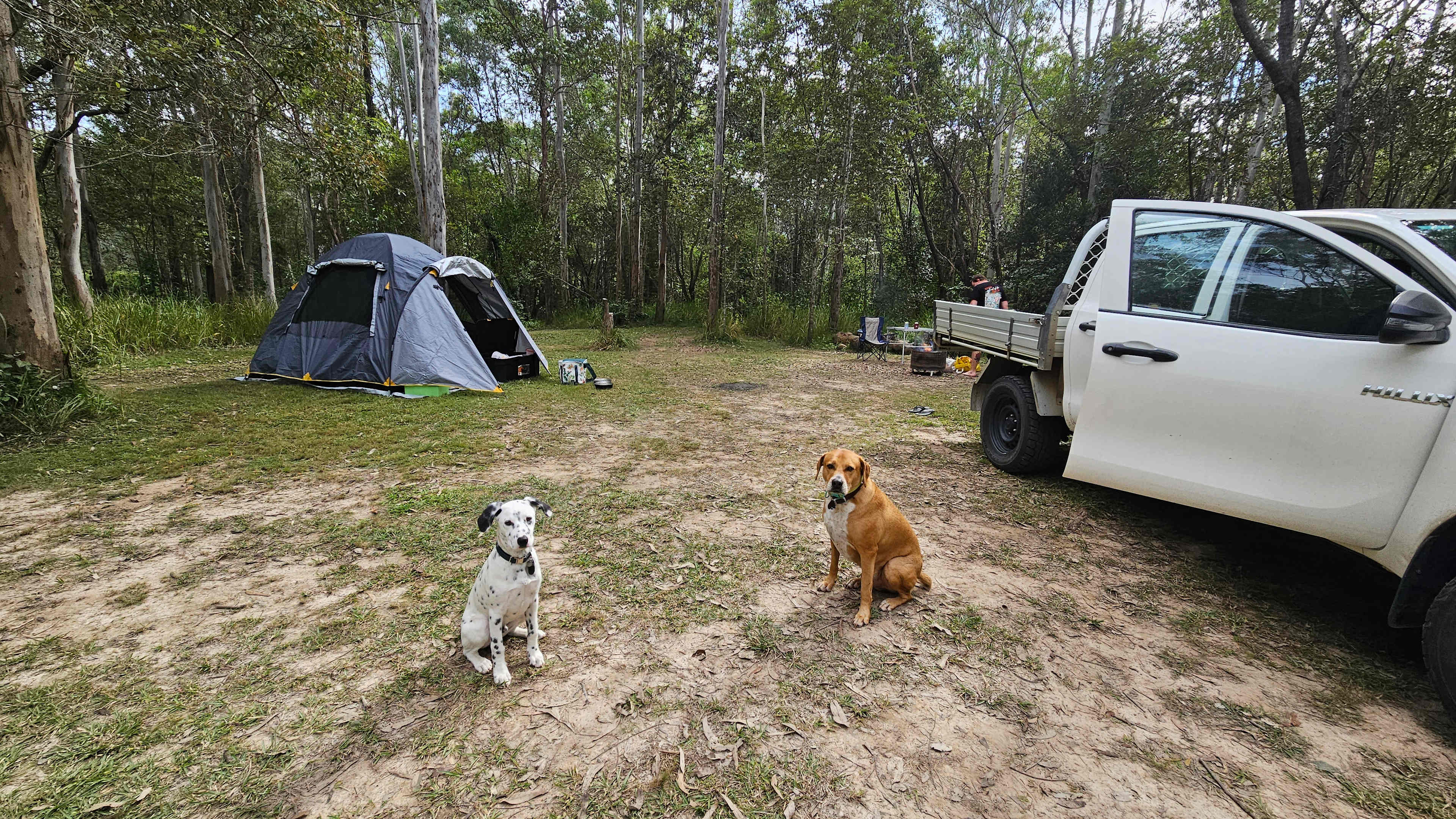 Great spot to bring your buddies 