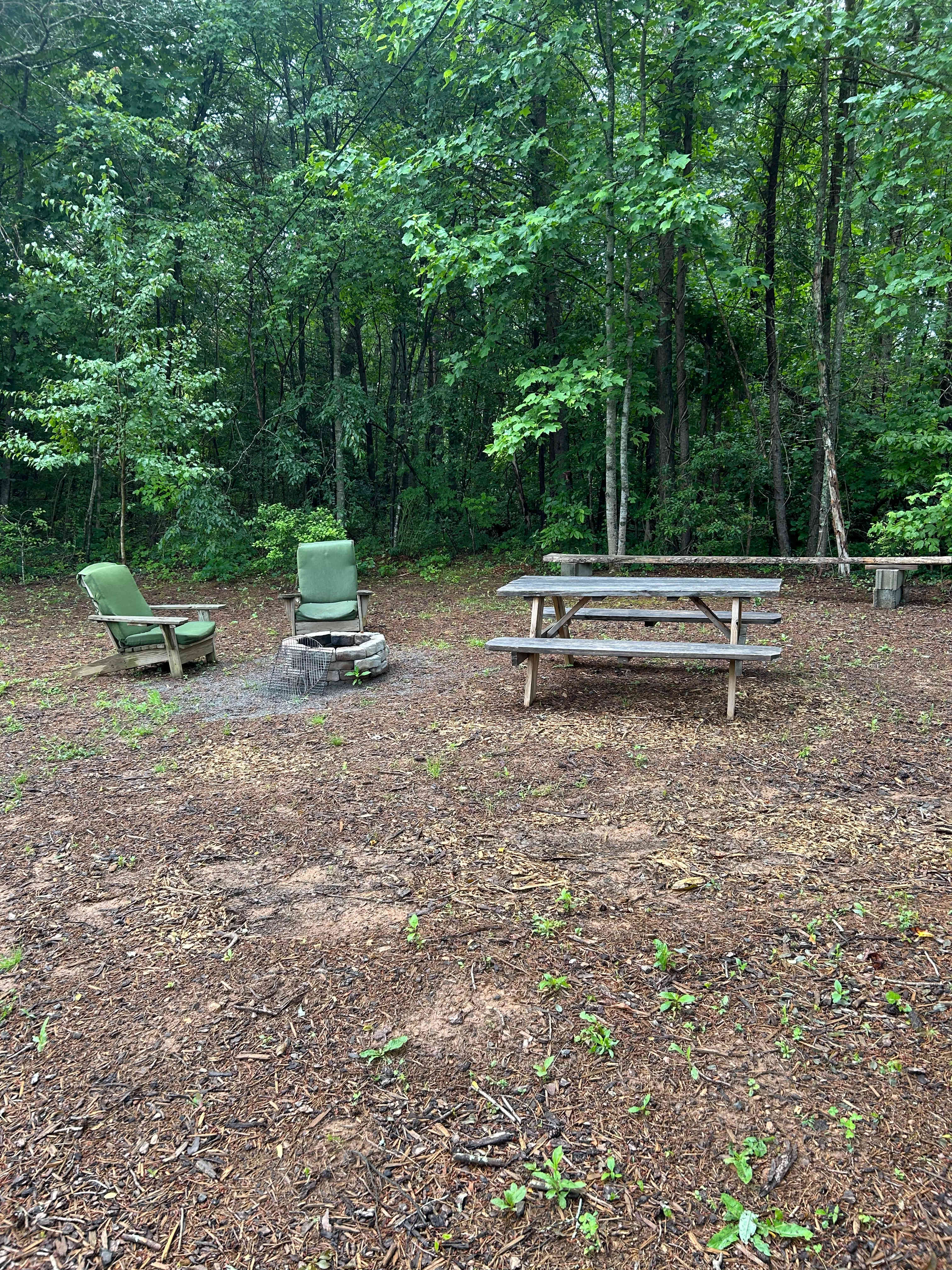 Site with plenty of room for tent camping,