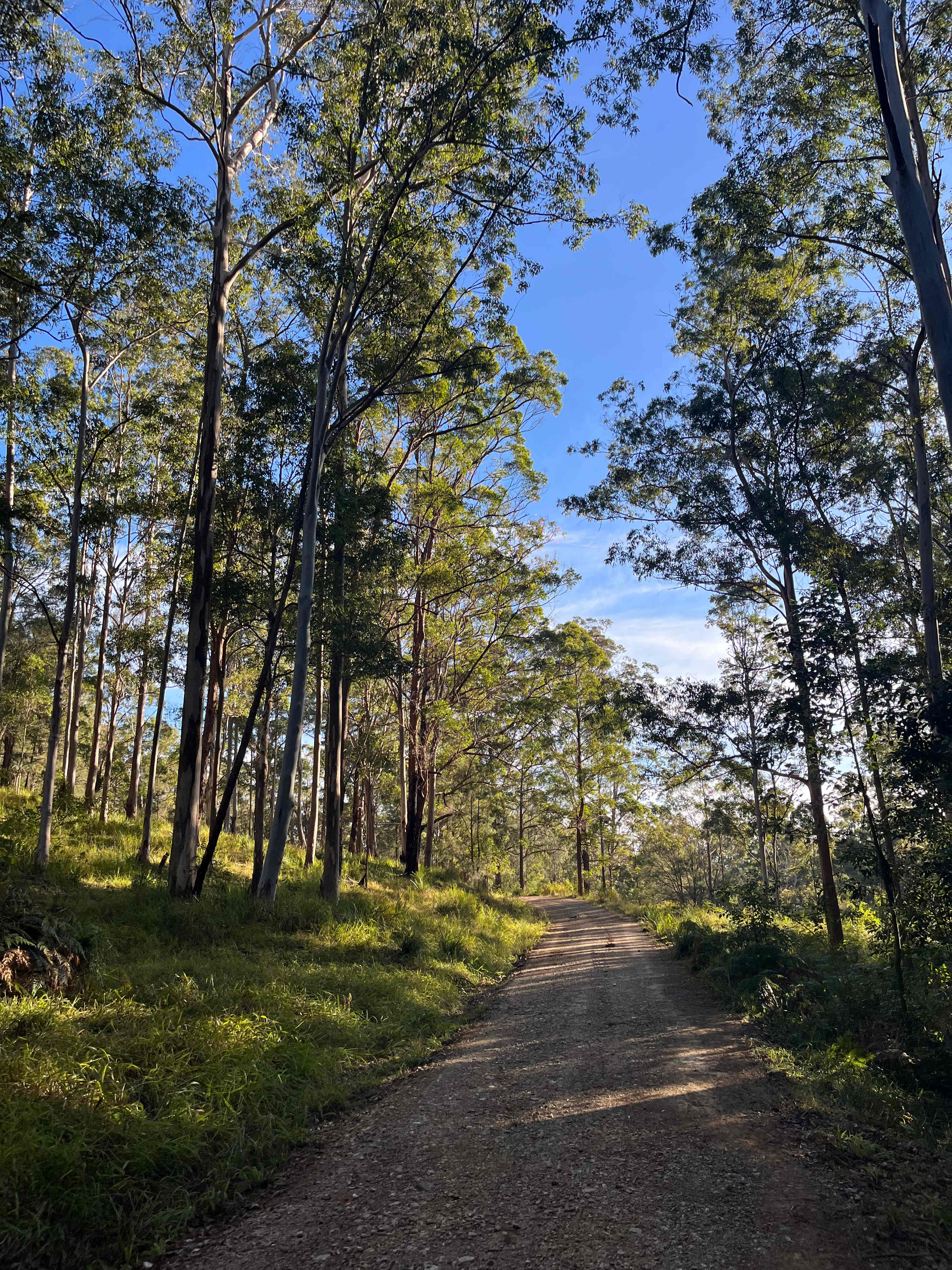 Bundilla River Camp