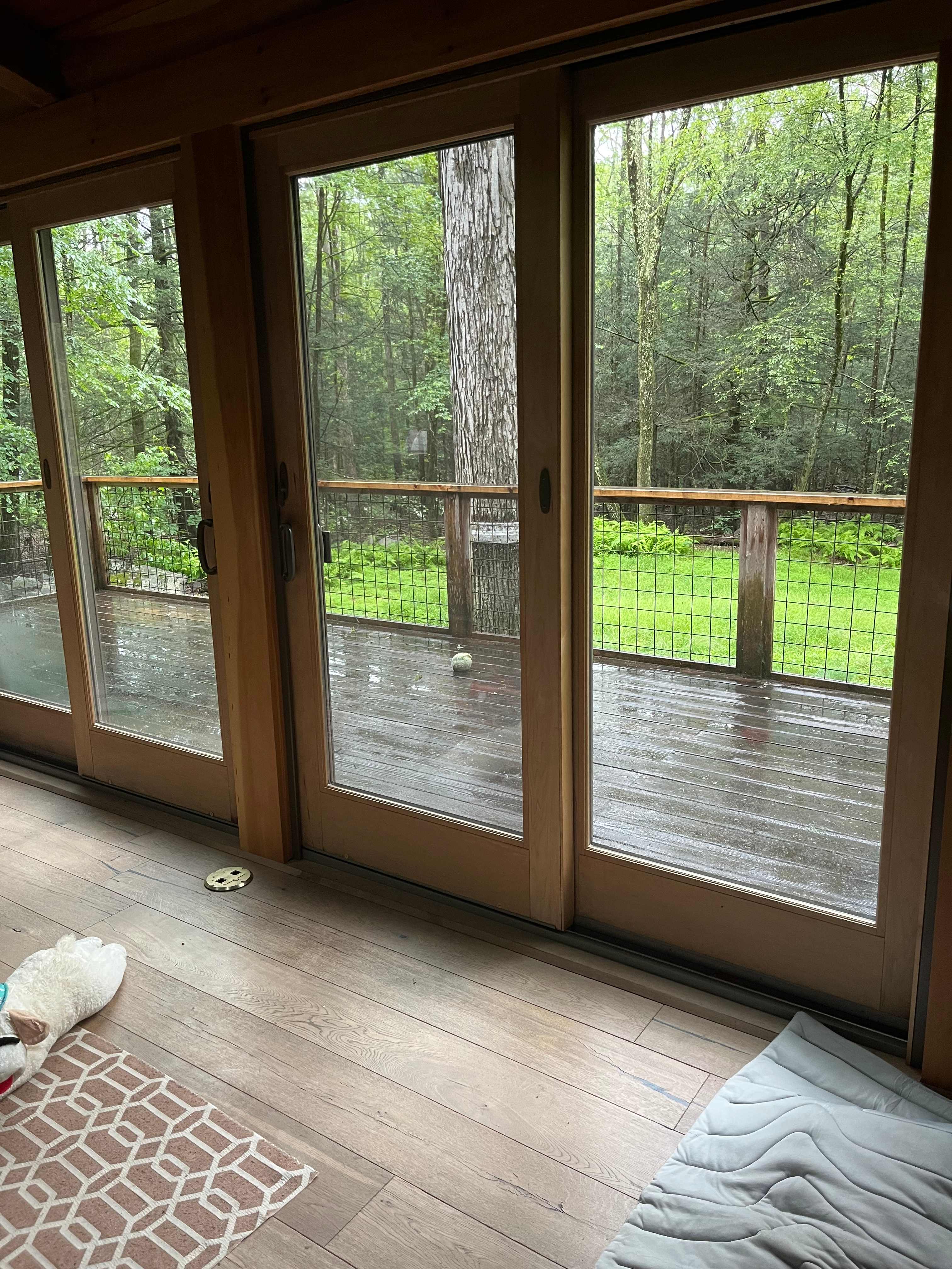 Living room view