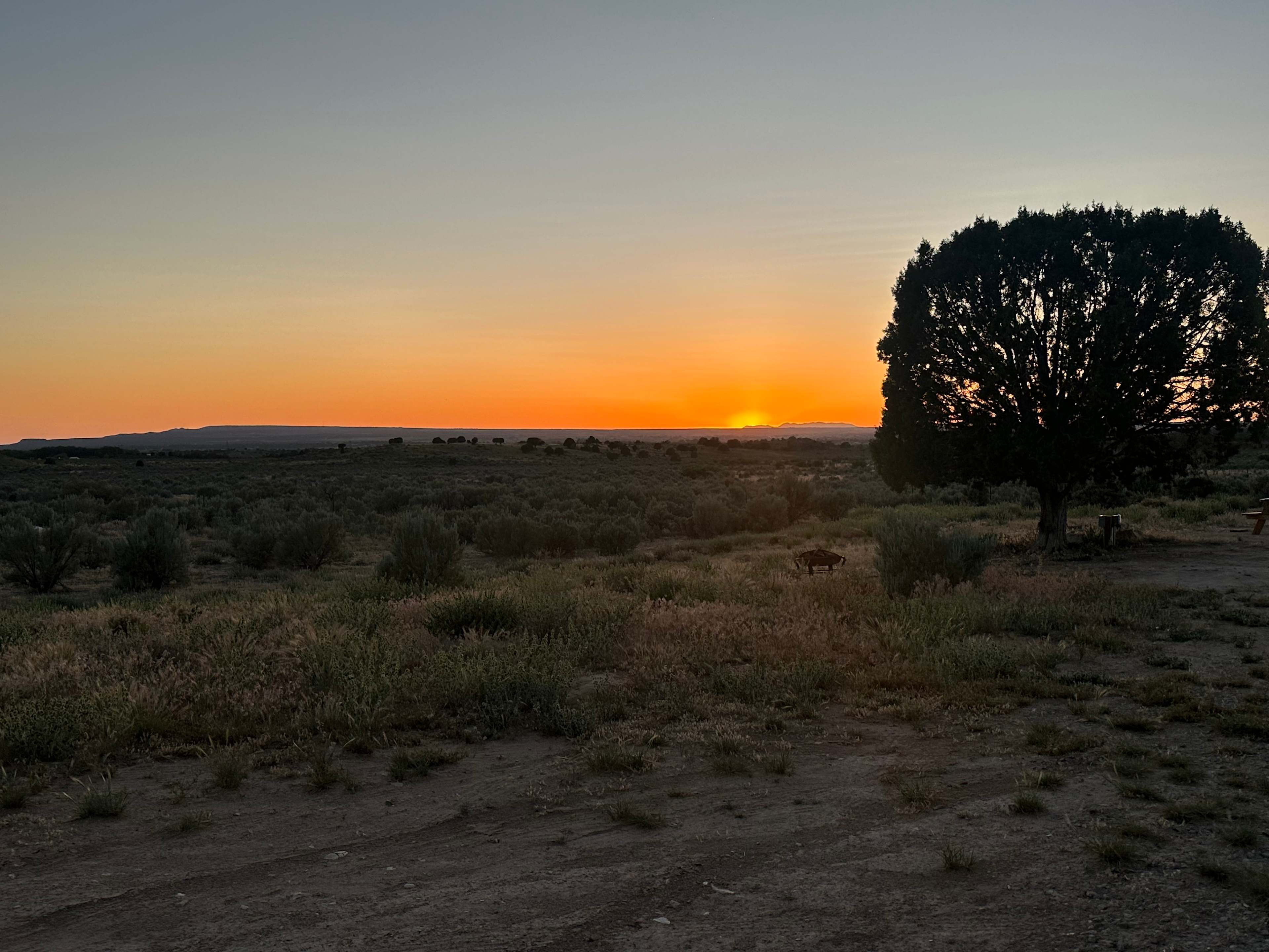 Bright Star Campground
