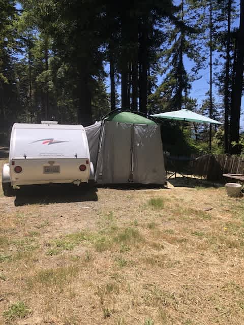 Essene Acres of Gualala Ocean View -Walking Distance to Town