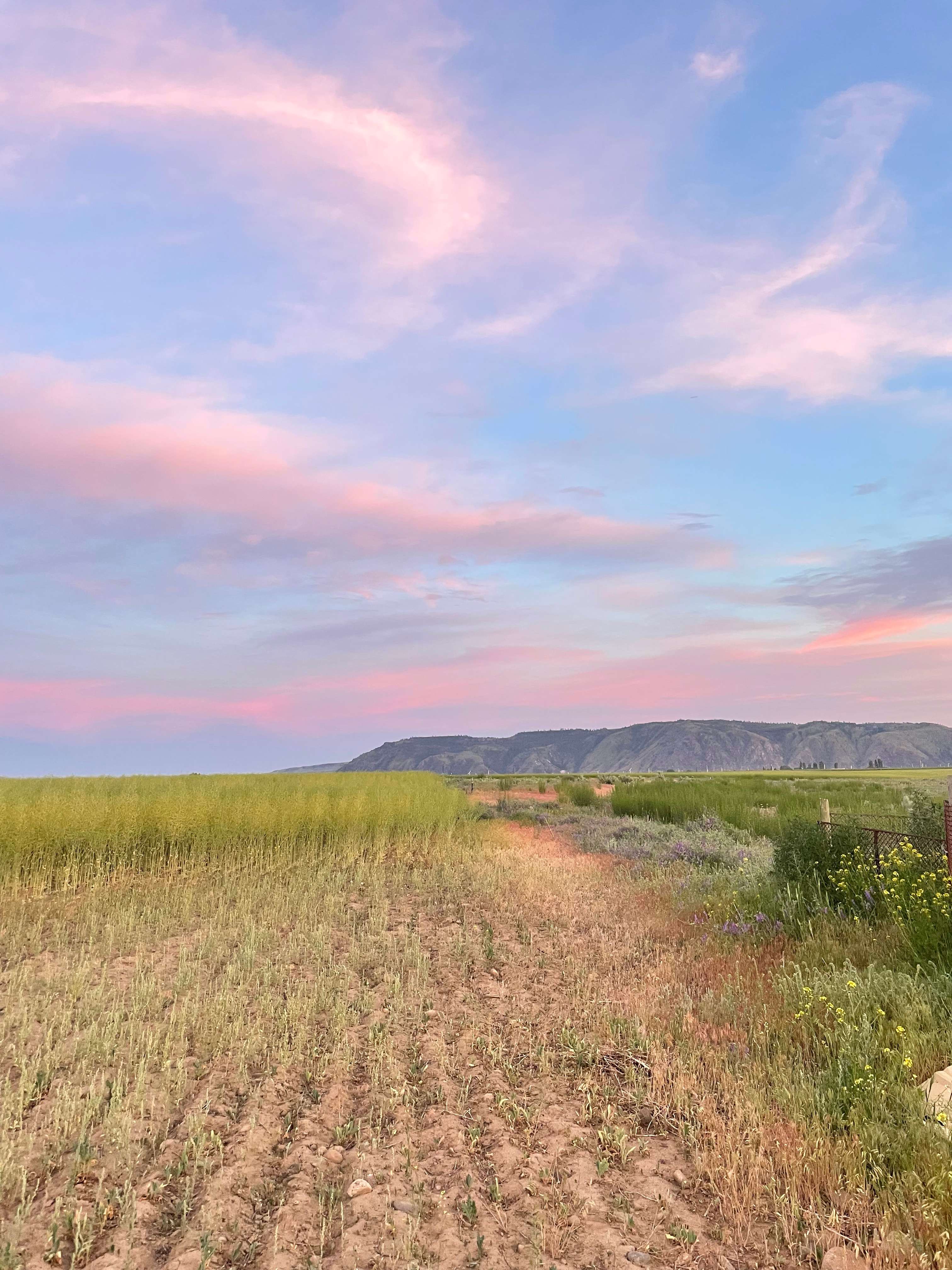 Big Sky RV And Tent Camp