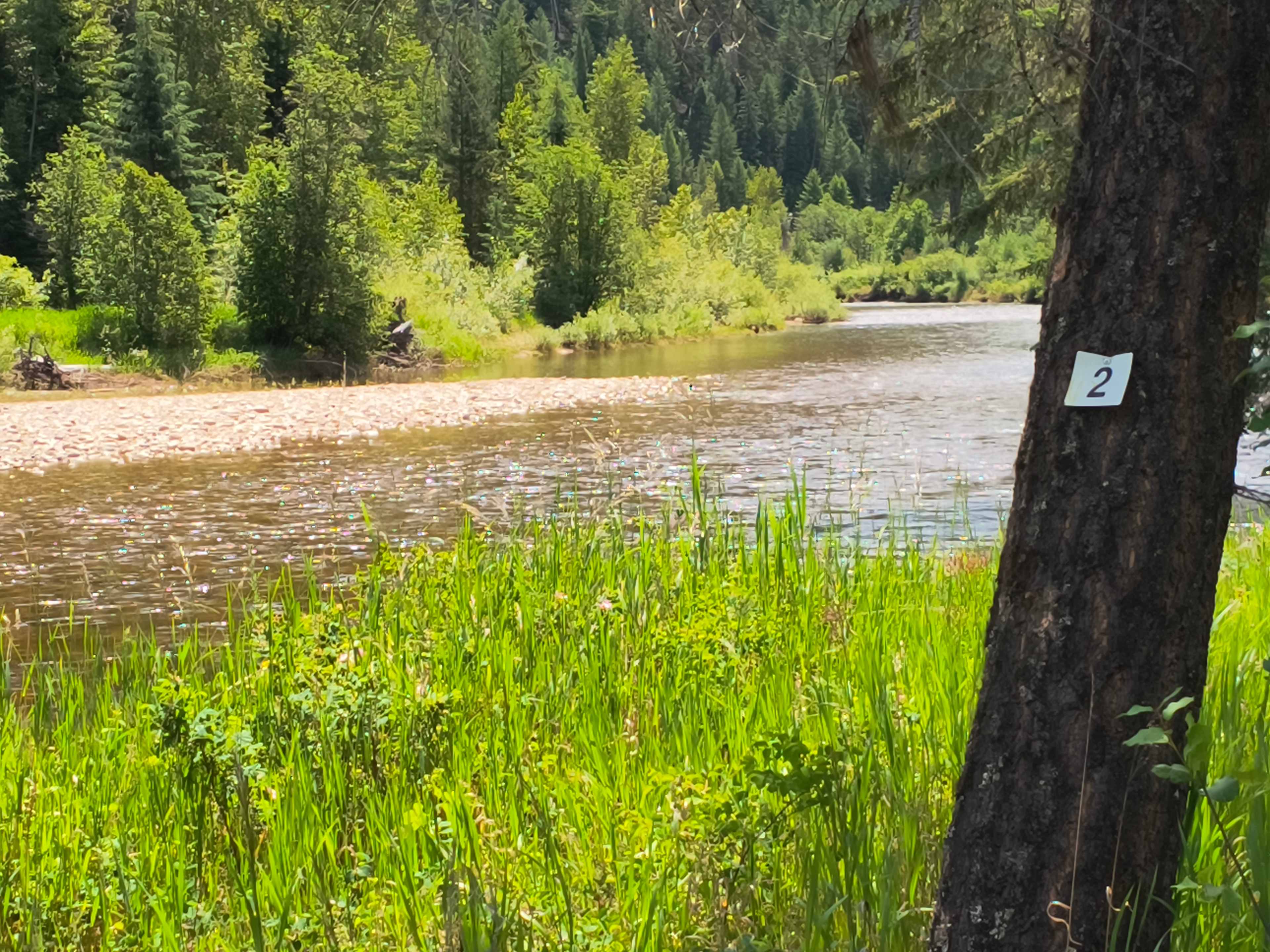 ARLO's KVR Trail Riverside Camping