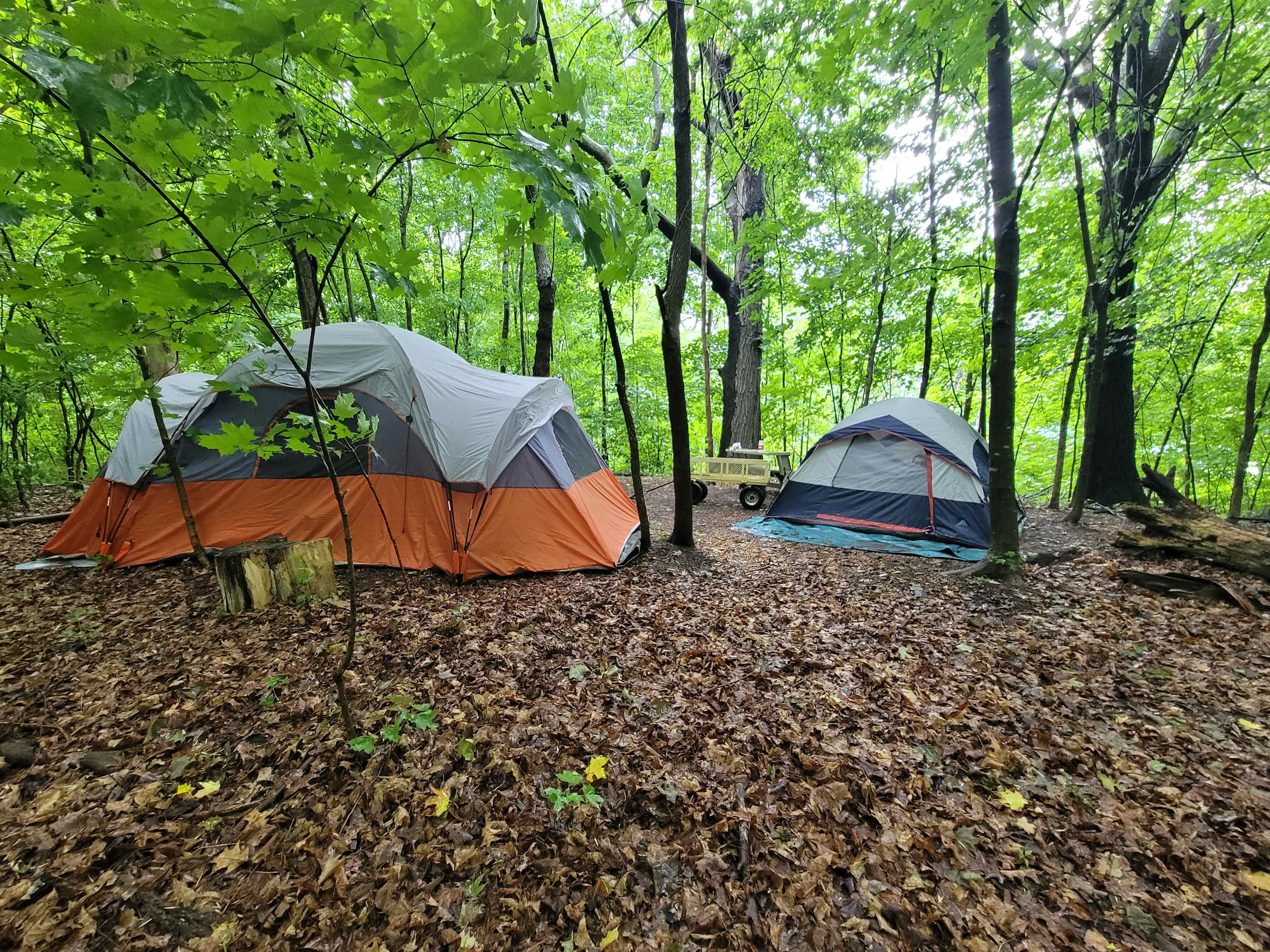 Wild Vines Campground