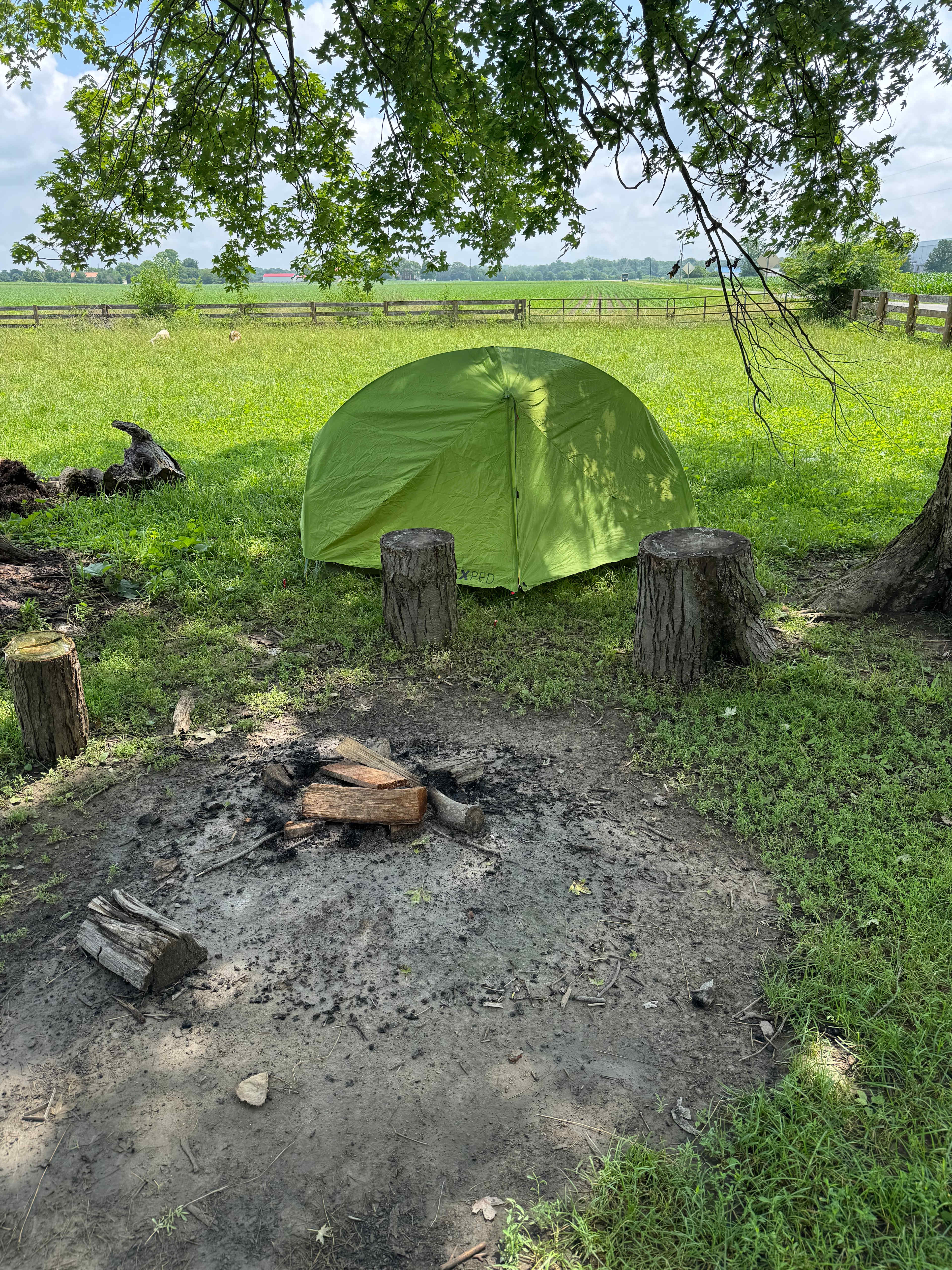 Camping with Unruly Goats