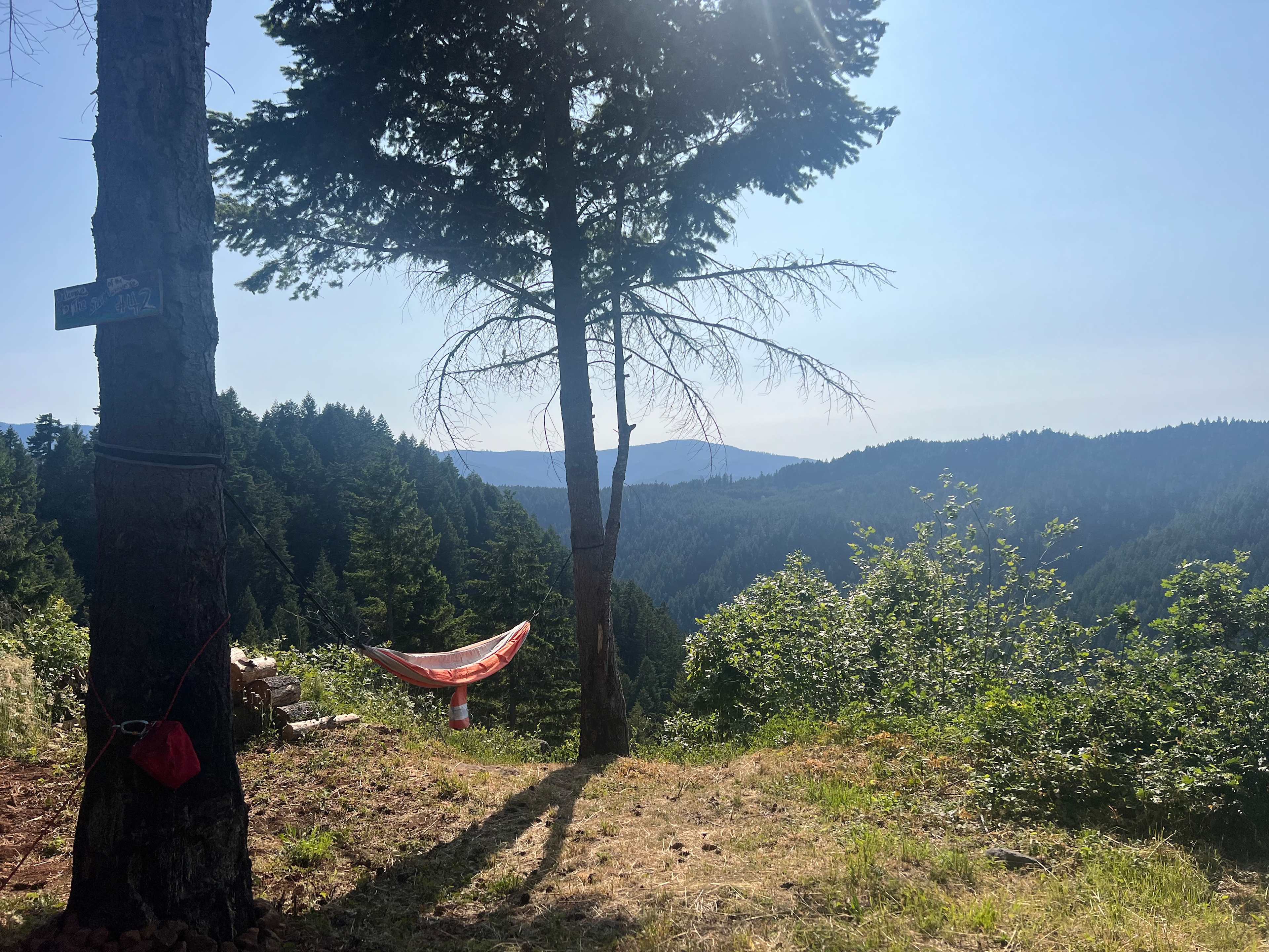 Moon Shadow Meadows-Closing July 8!