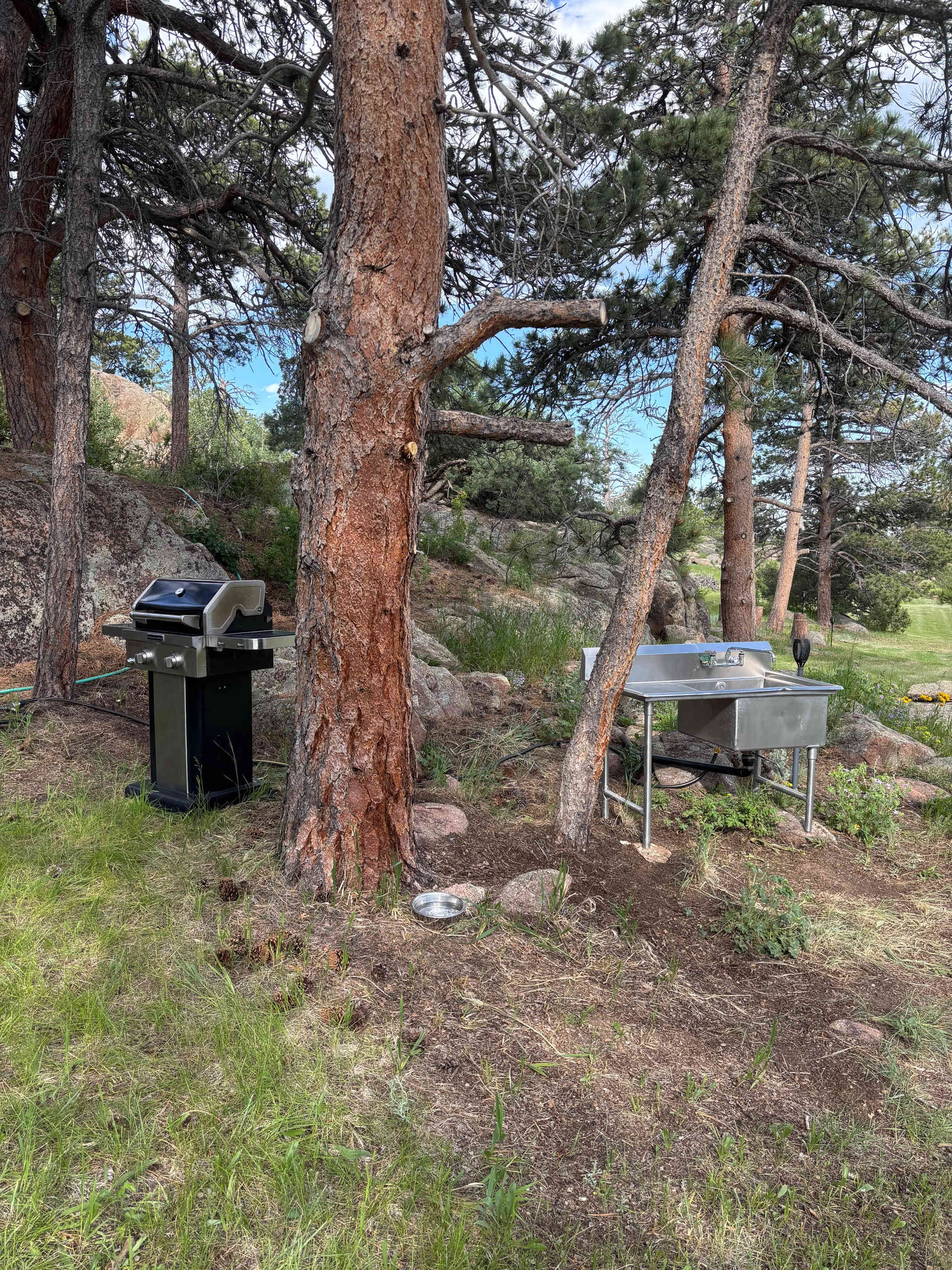 Picture of the site