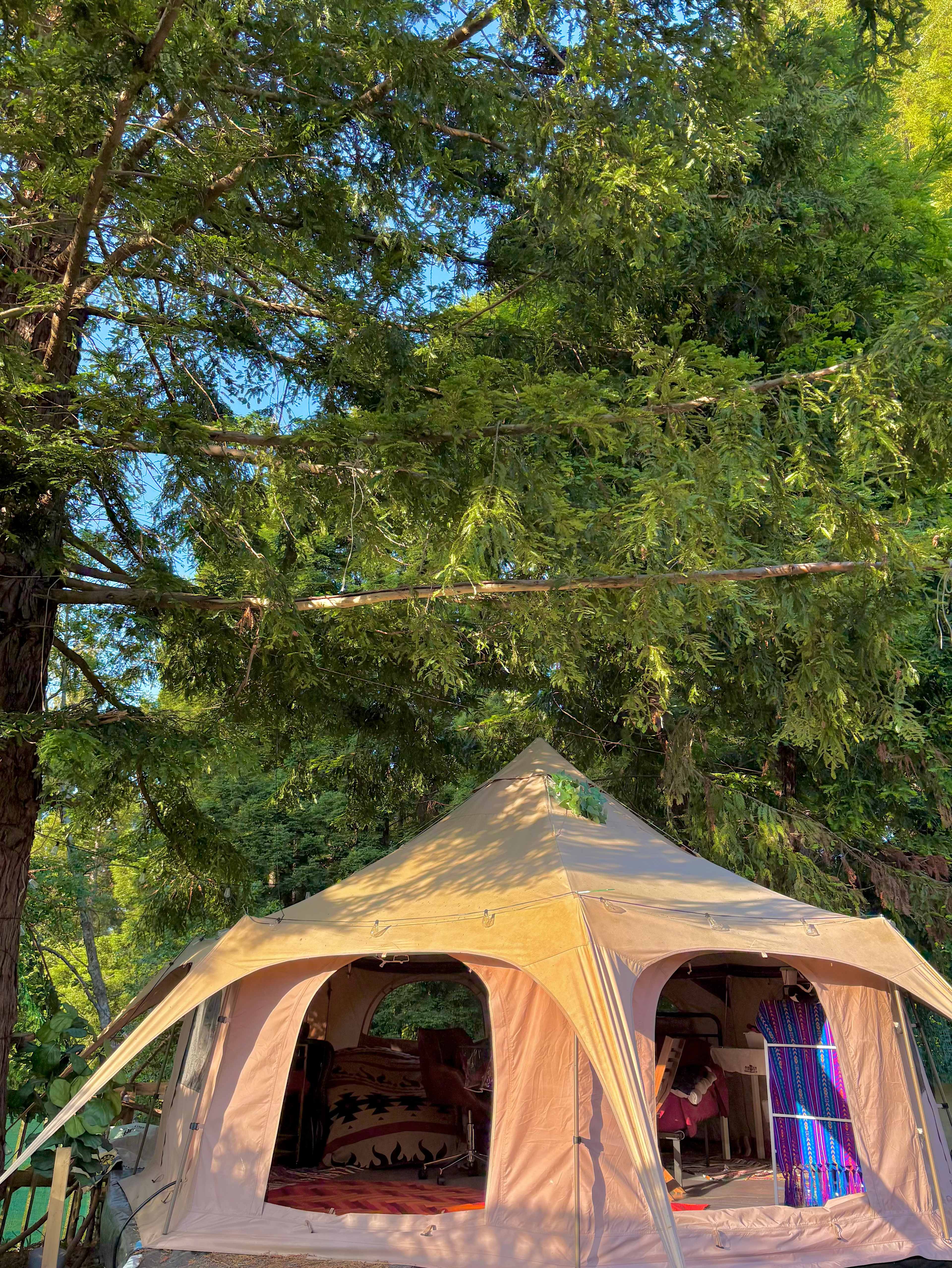 Eureka HipGlamp