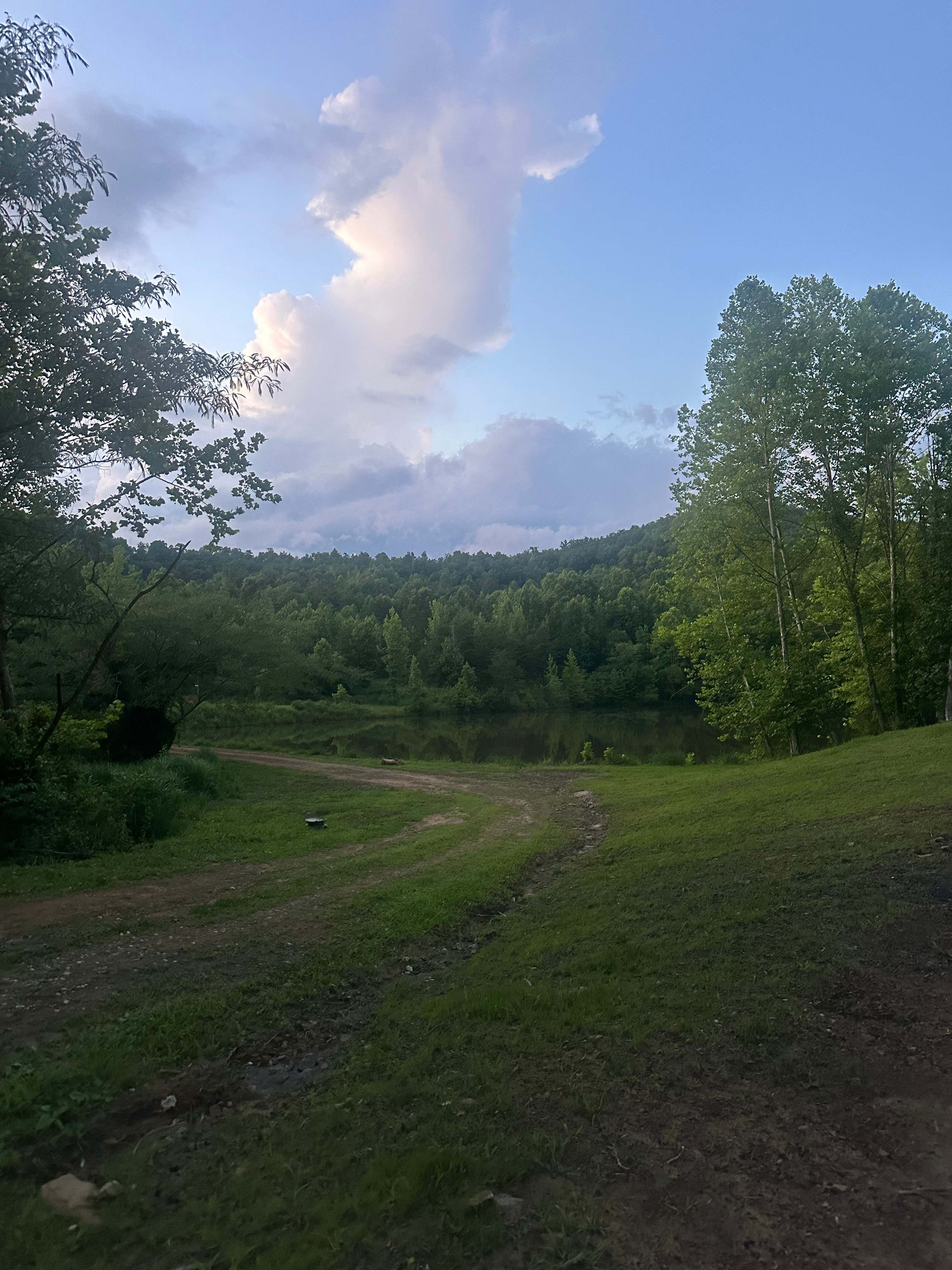 Gray Hills