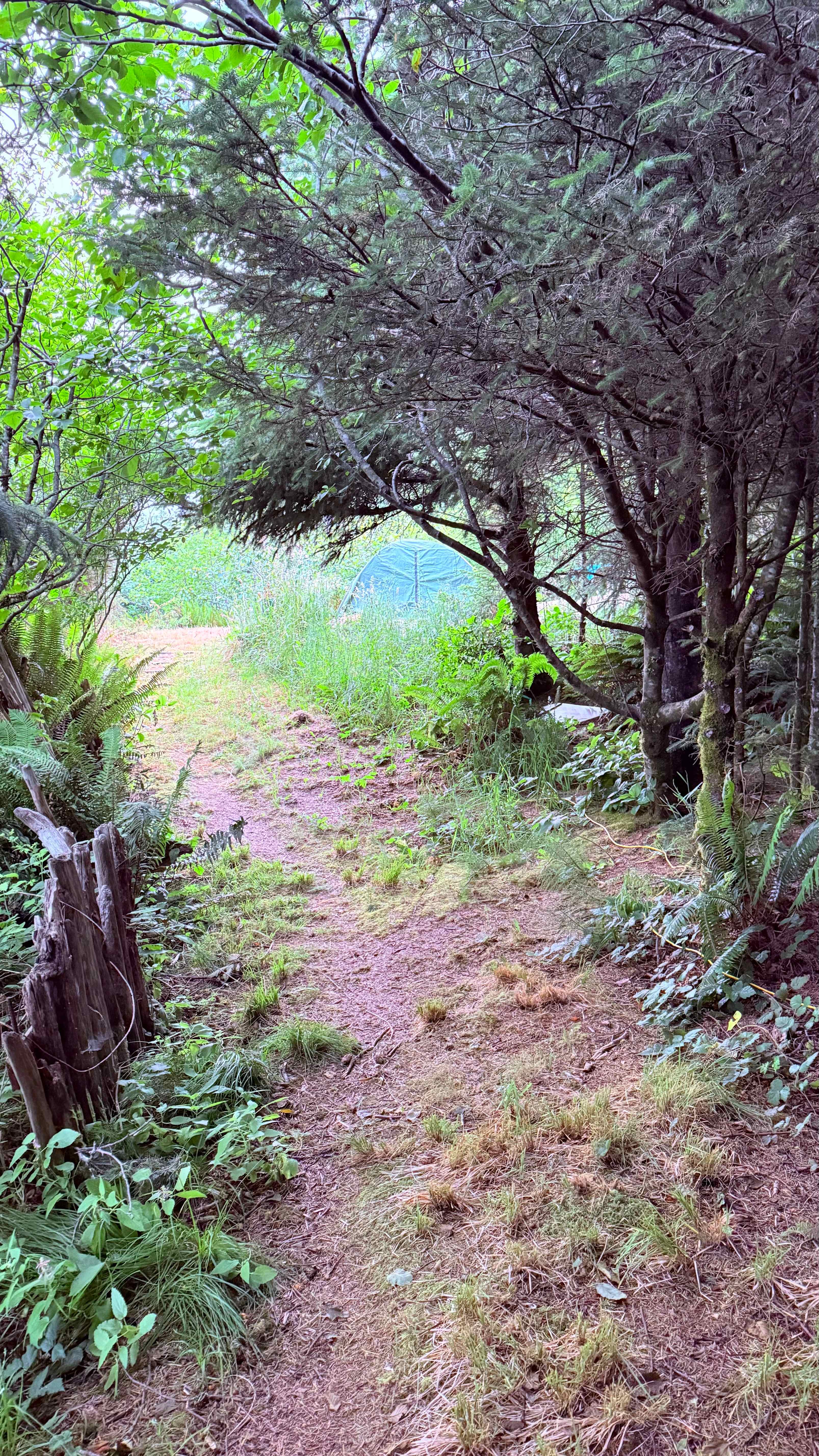Path to house
