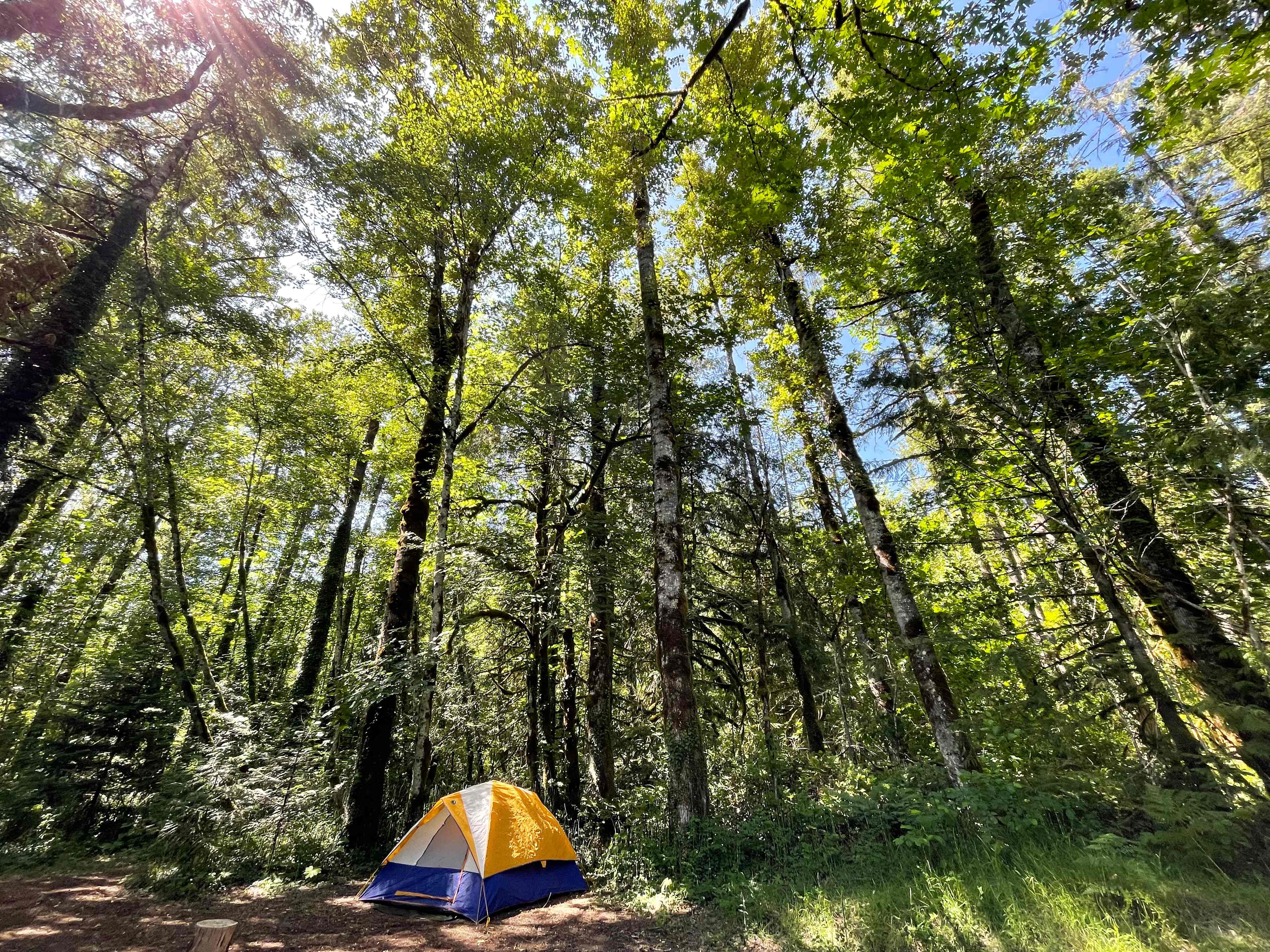 Site B 
