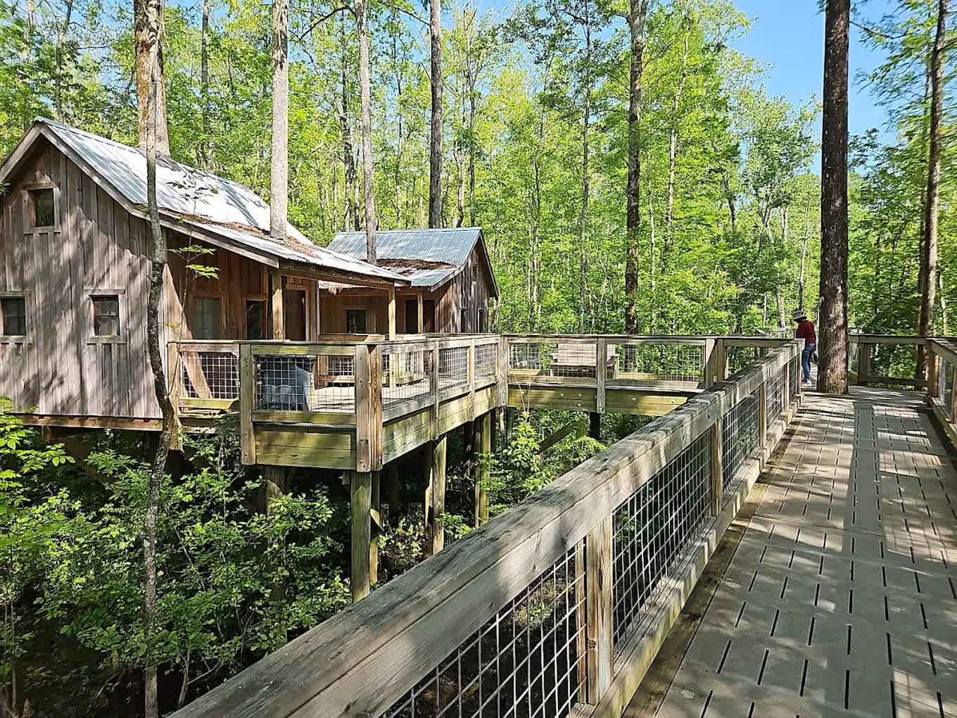 Cashie River Treehouses and Campground