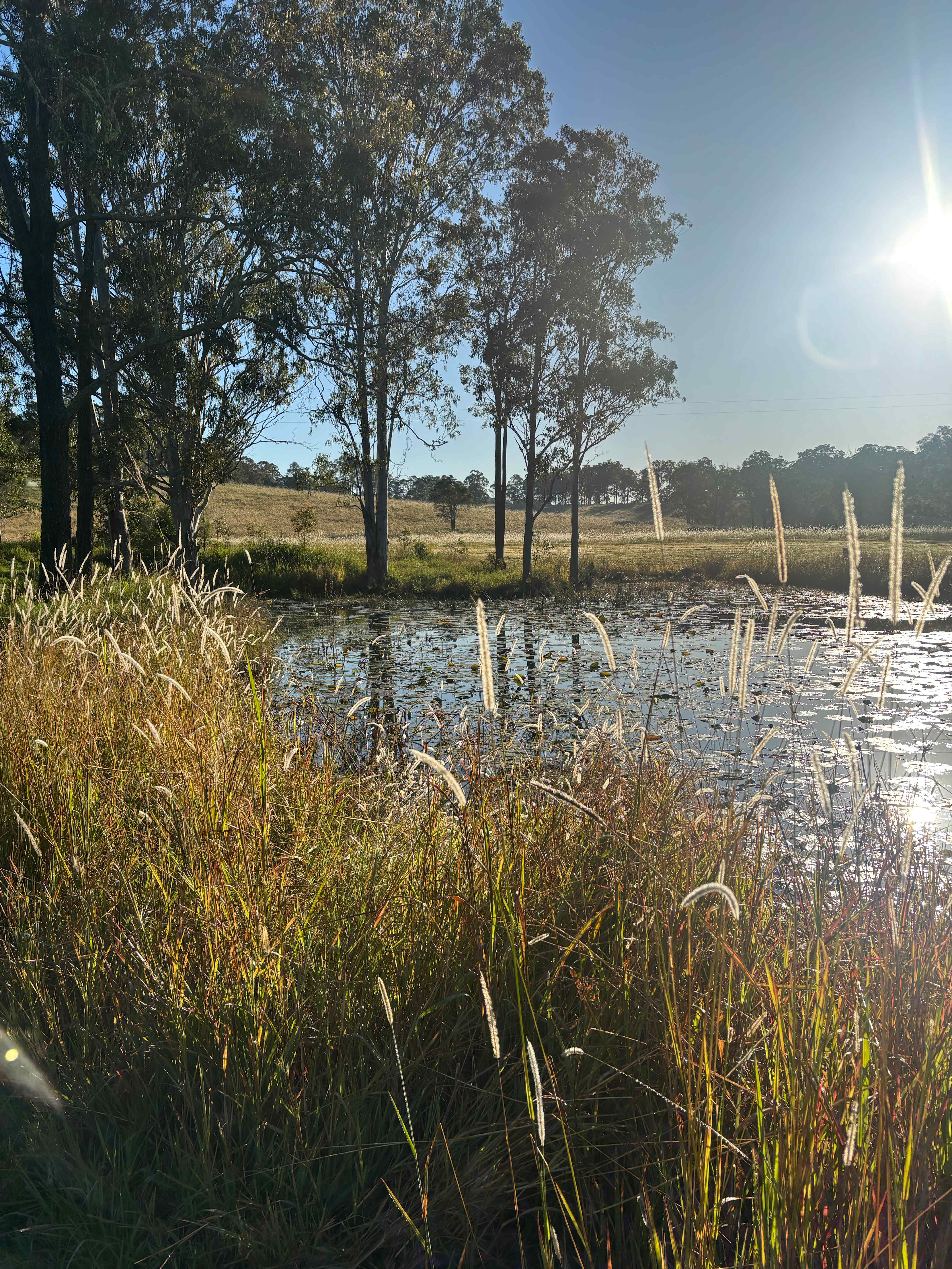 The Riverside Farm Escape Minimbah