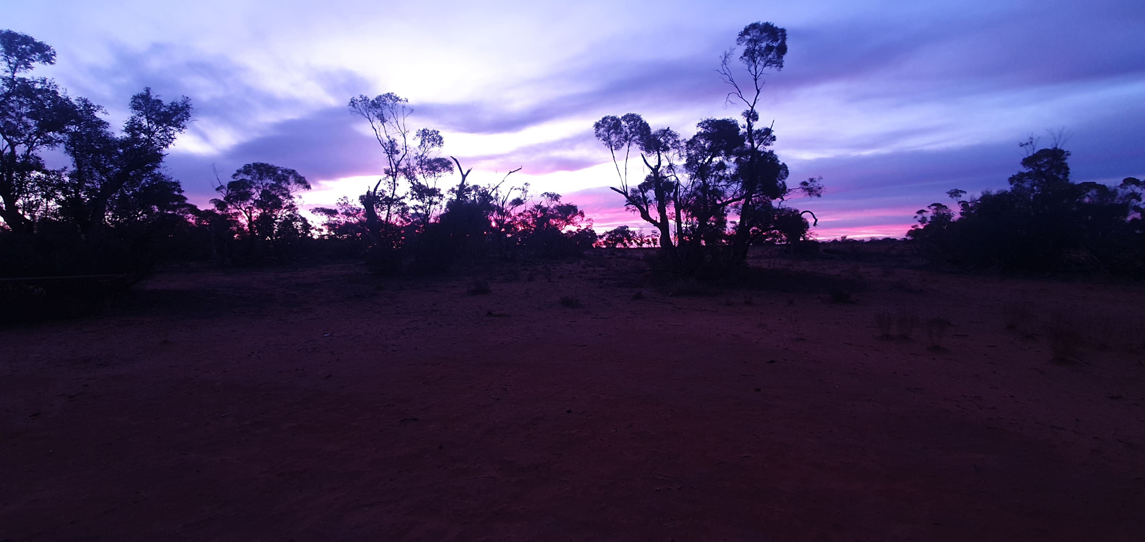 Stockyard Plains, The Riverland