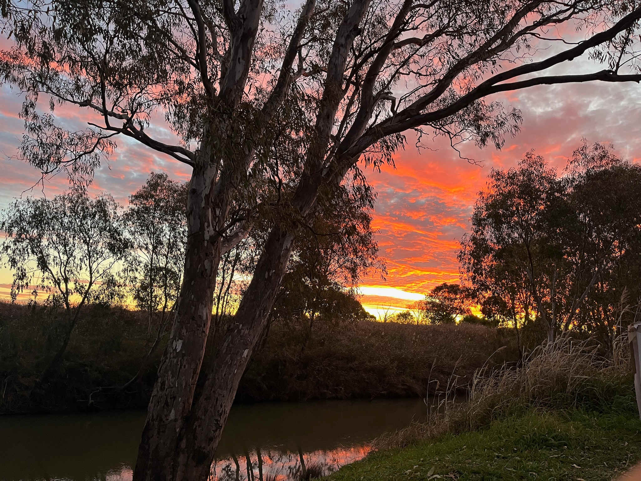 Warrego Farm