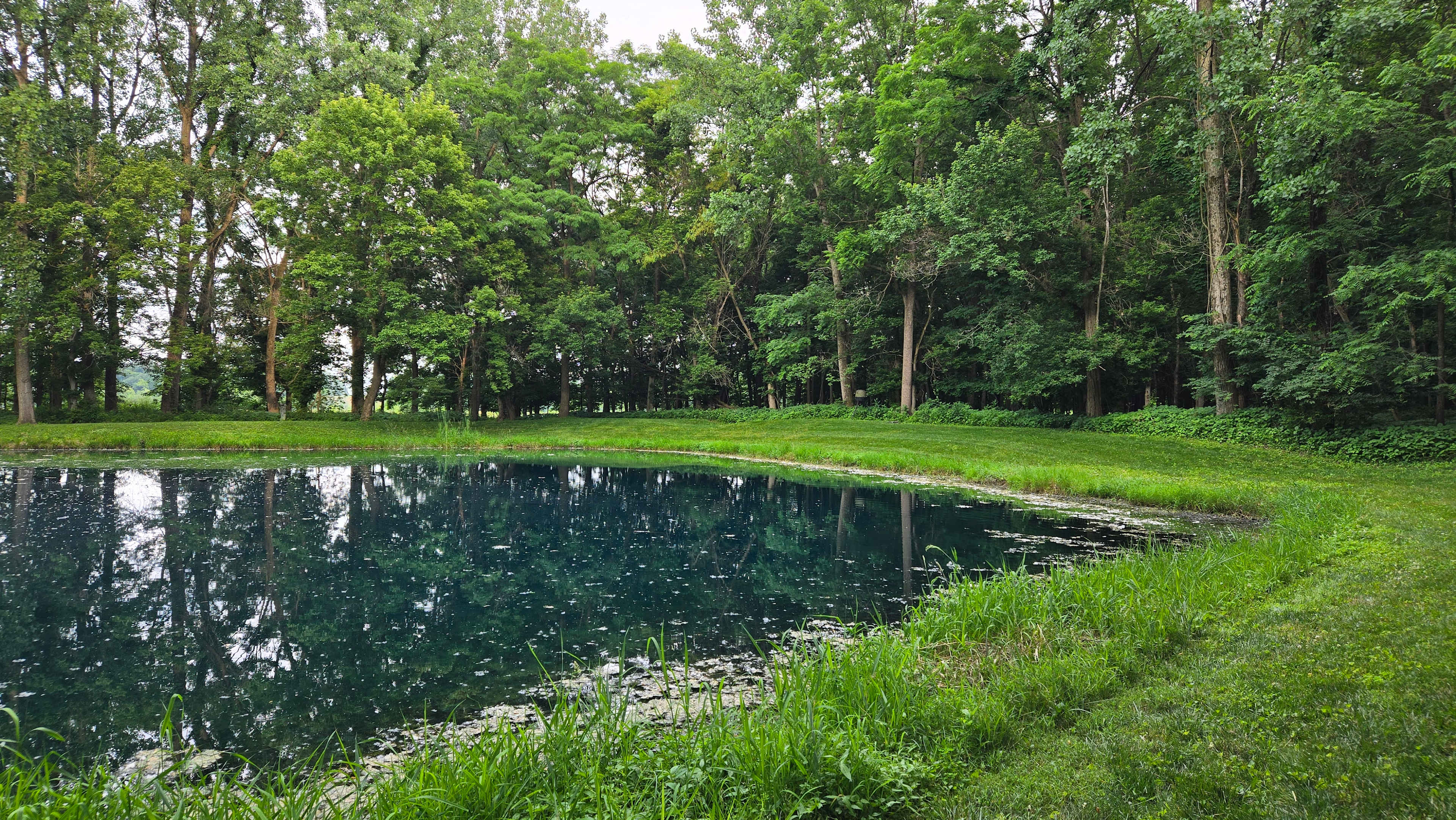 Sycamore Springs Farm on Springboro