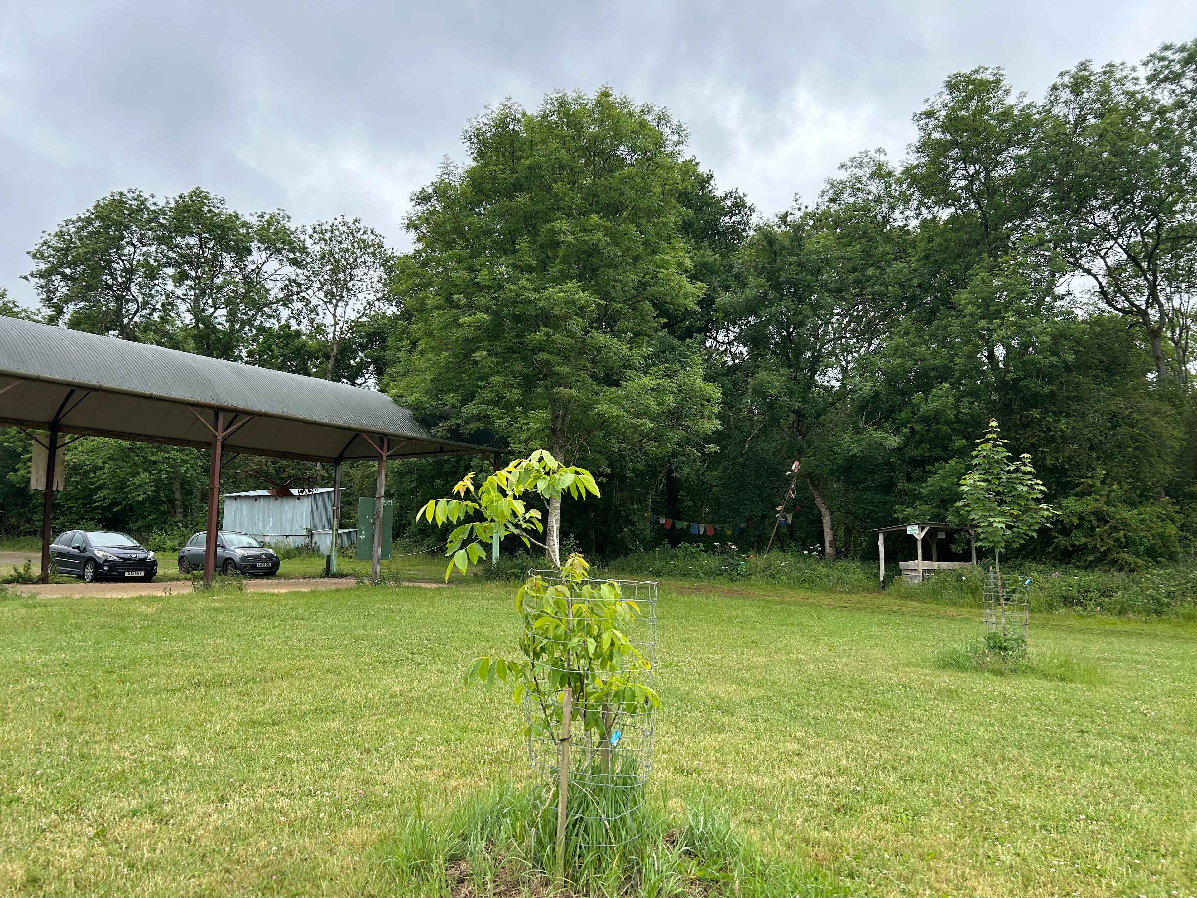 Abbey Home Farm