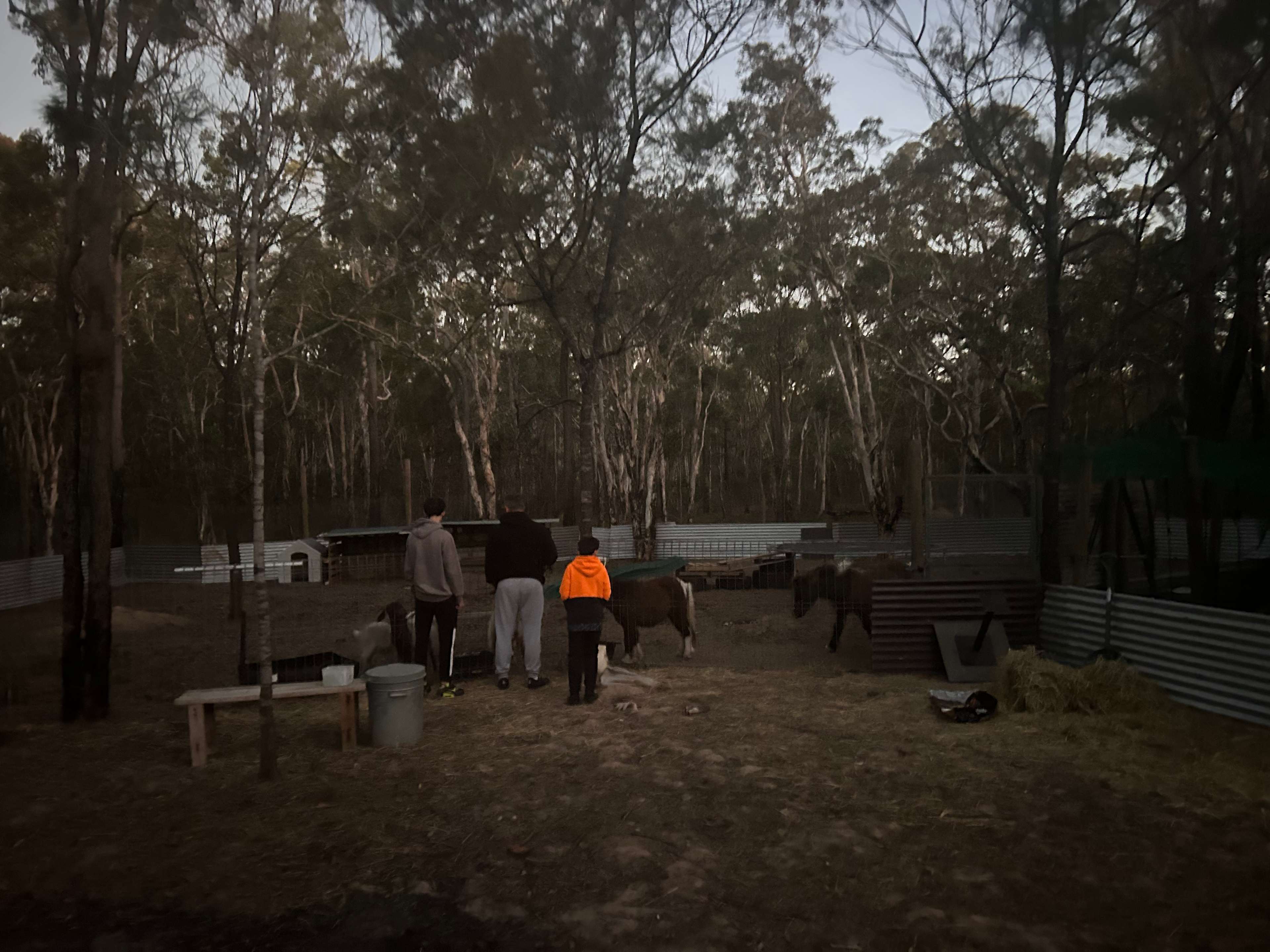 Woodlands Farmstay and Glamping