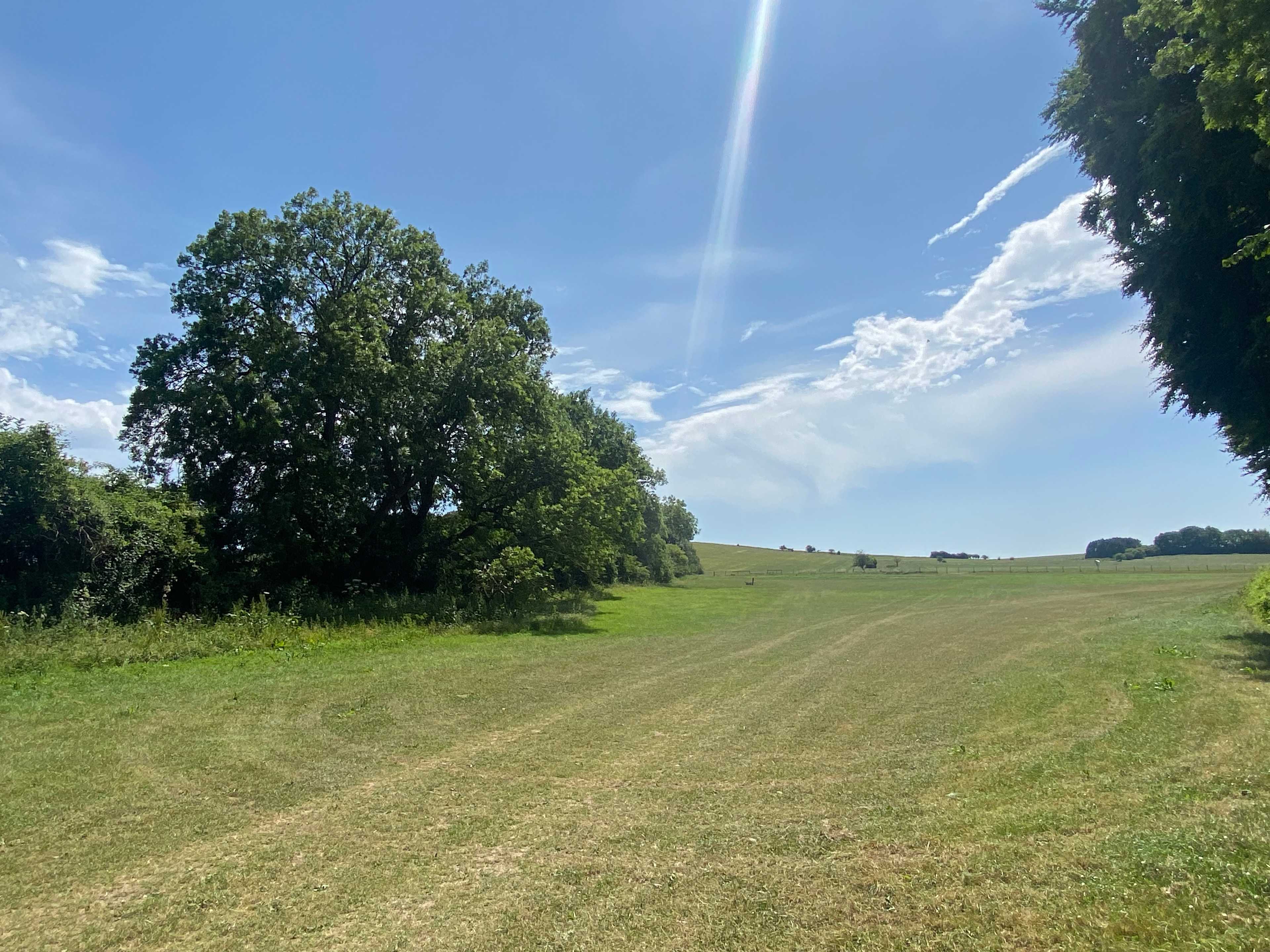 South Allenford Farm