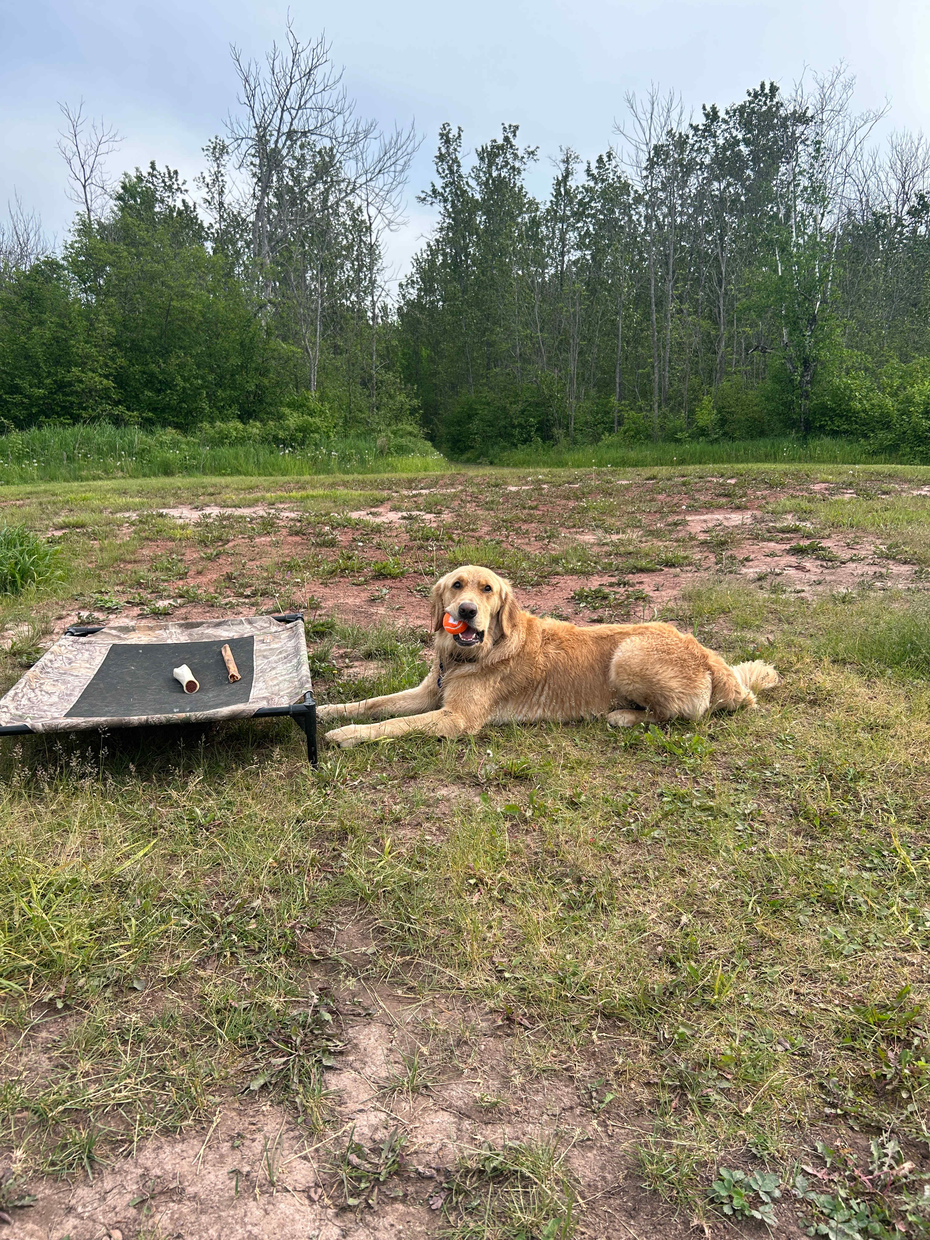 Superior Beach Camp