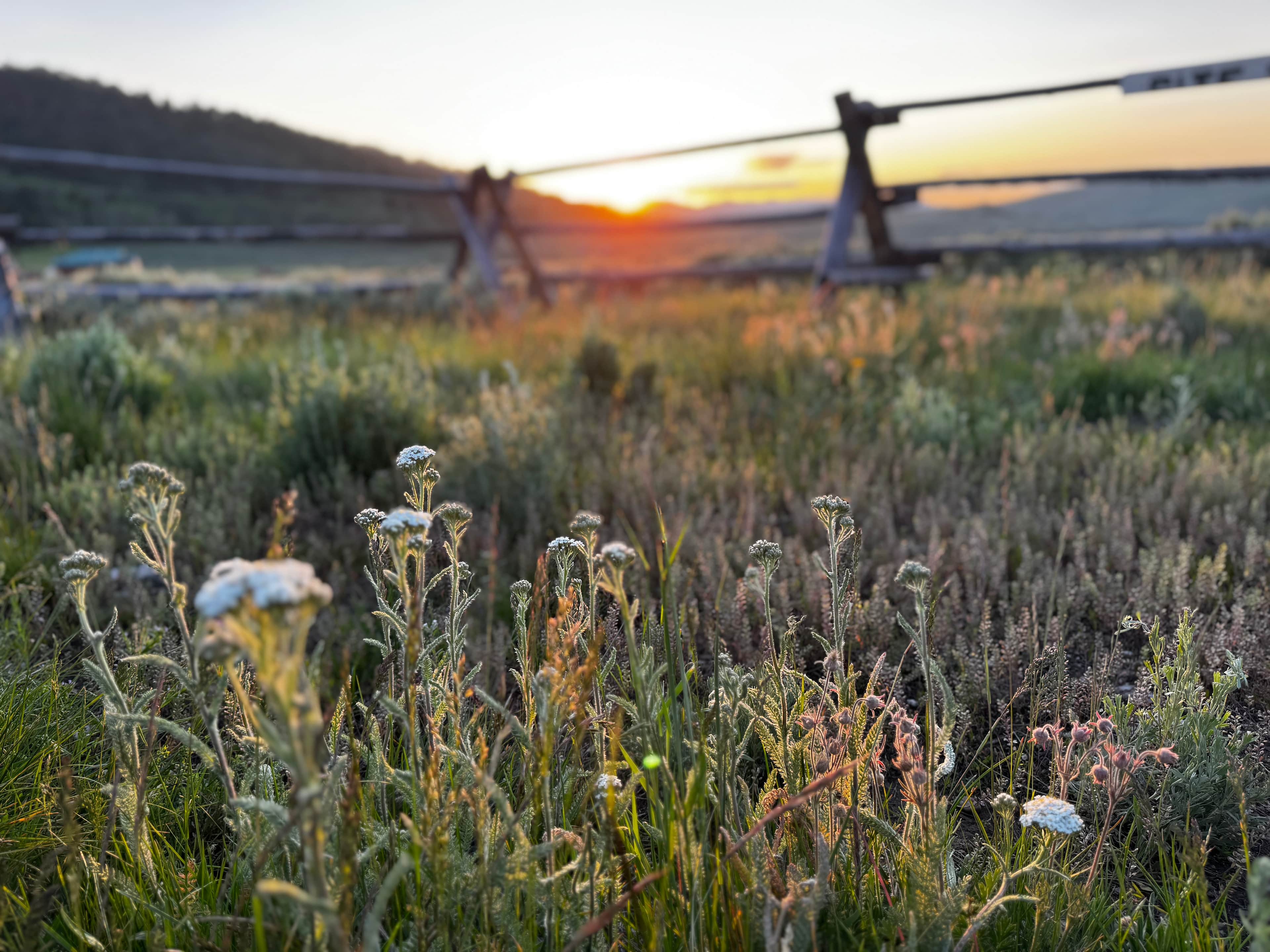 Yellowstone's Home-Base Hookups