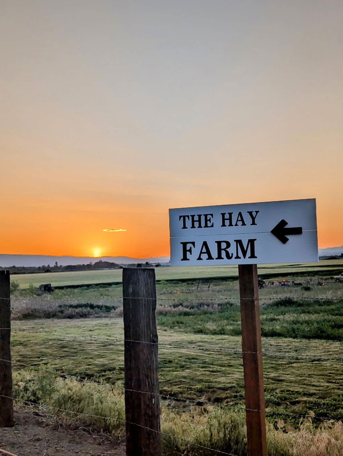 The Hay Farm
