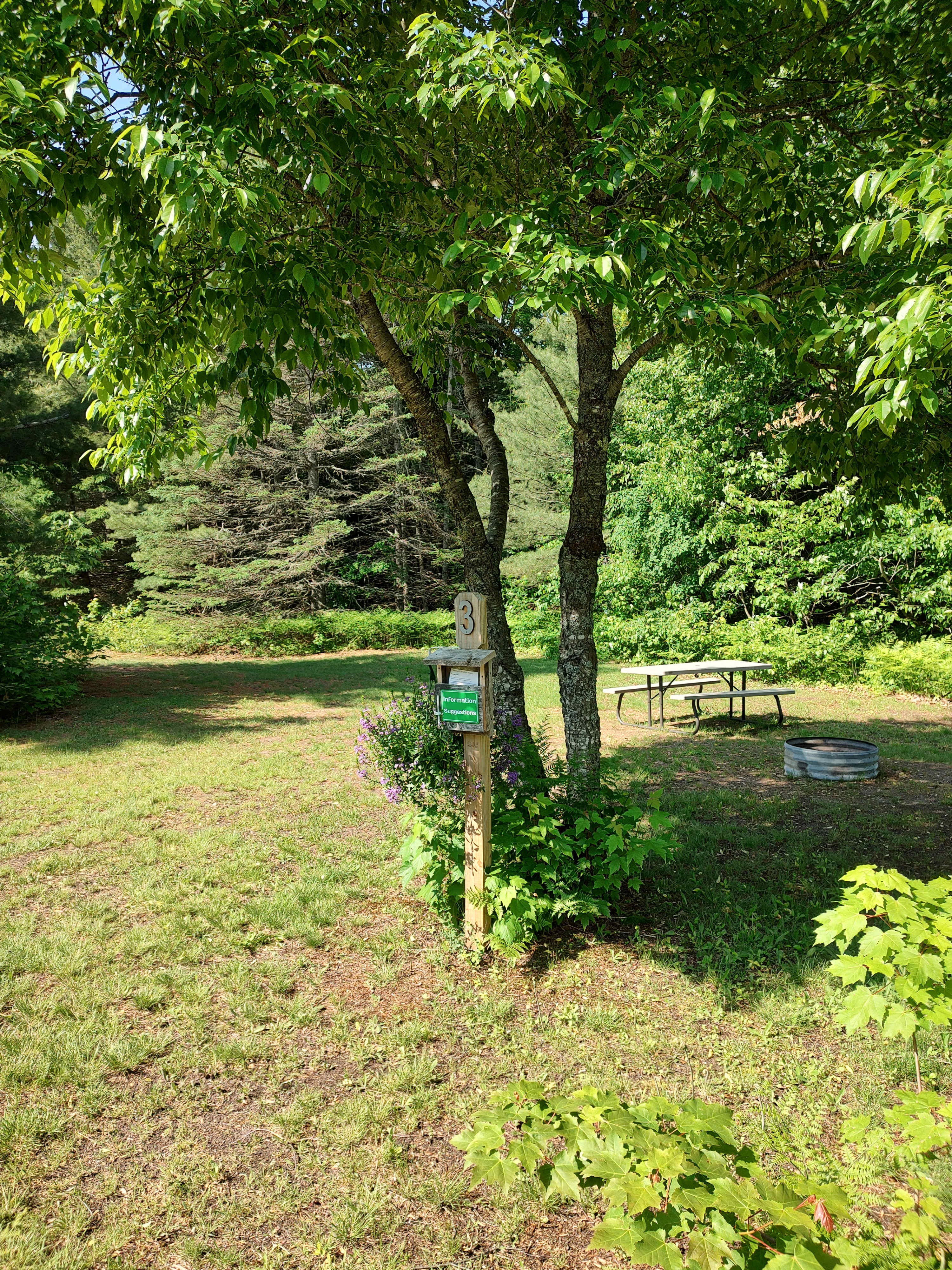 High Swamp Camp