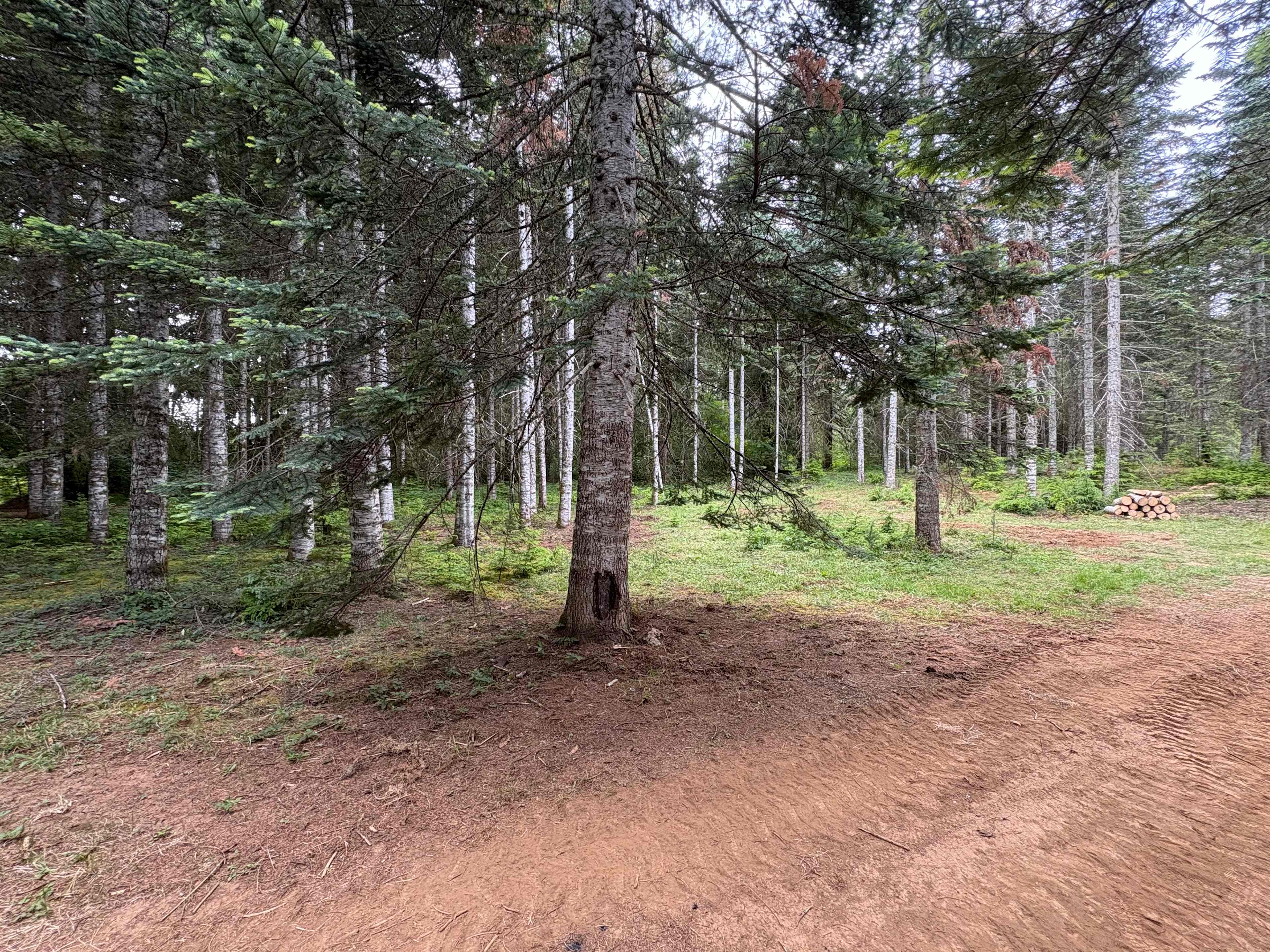 Vista View Ranch